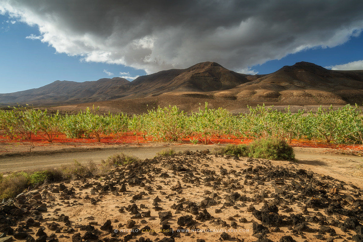 I colori di Fuerteventura