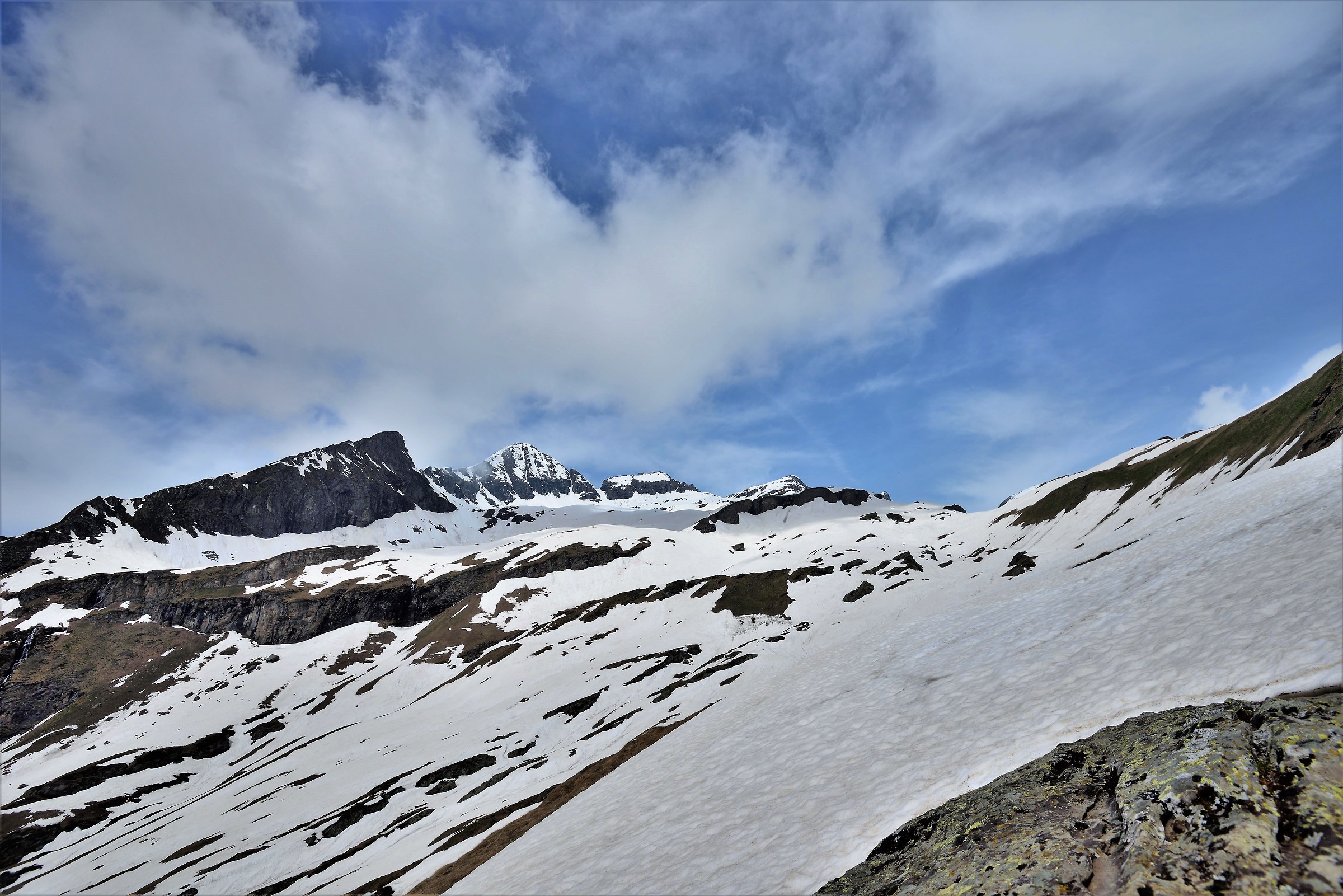 At the top of DS the P. SSO Foric