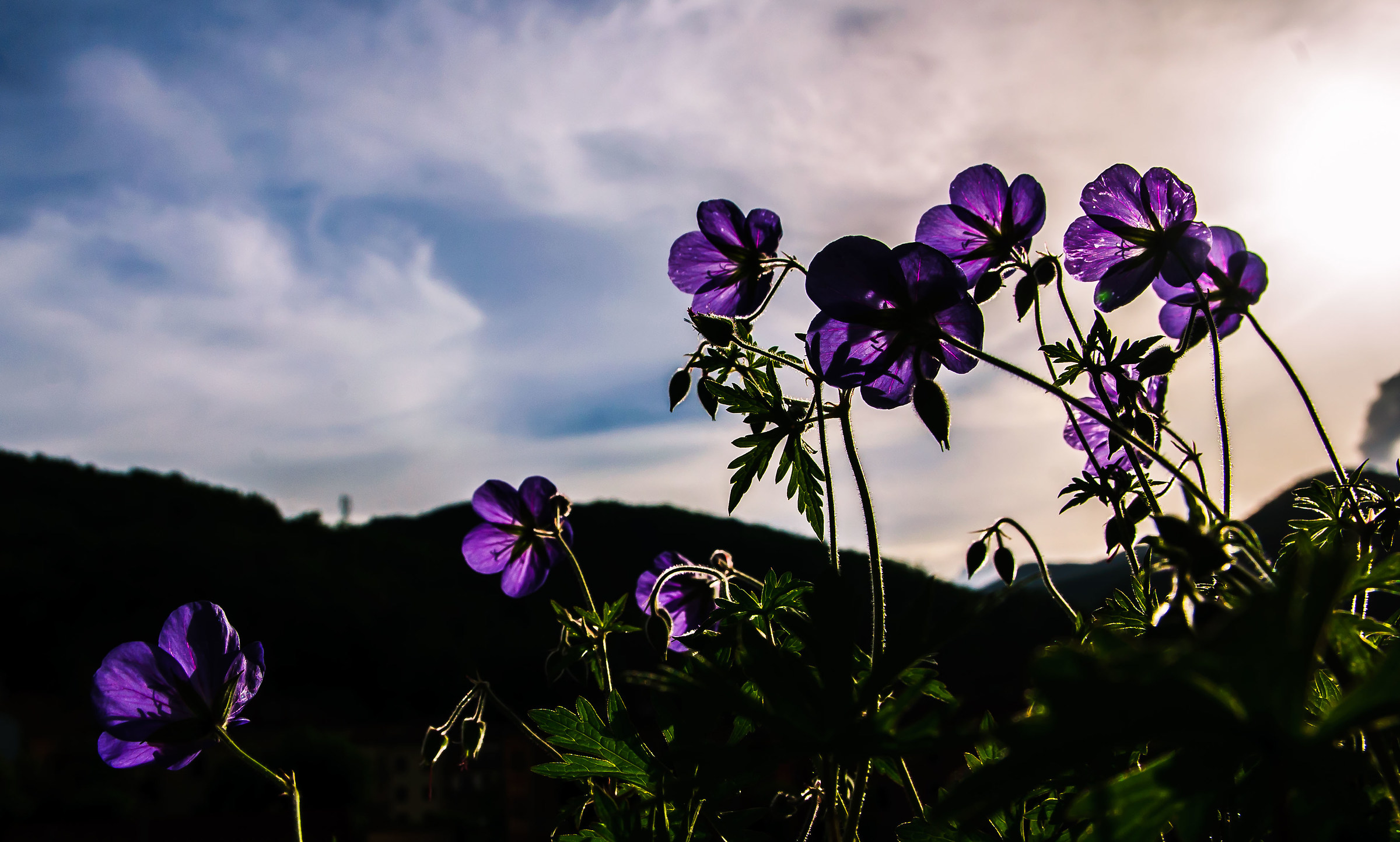 Mentre il sole se ne va