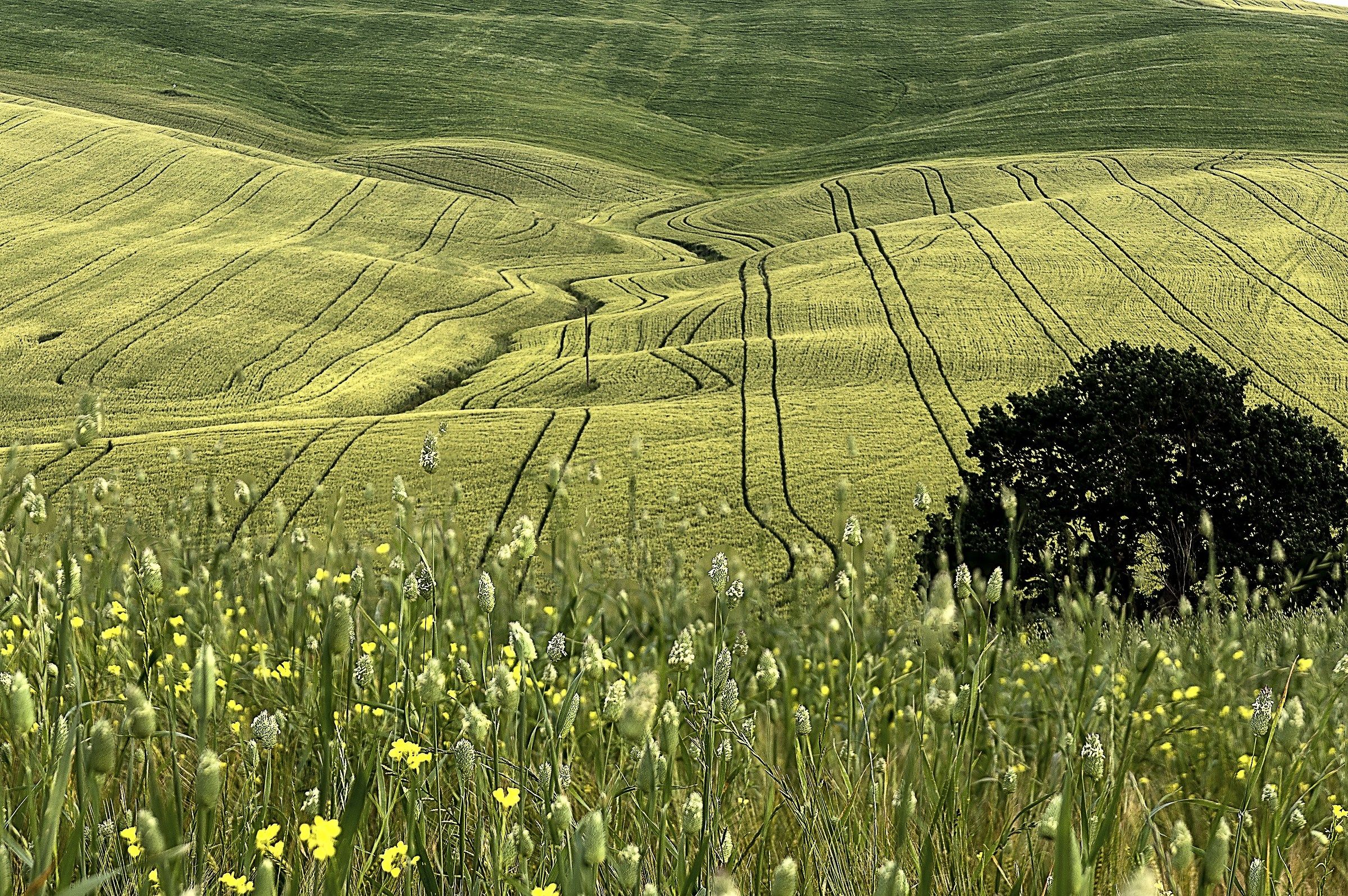 val d'orcia