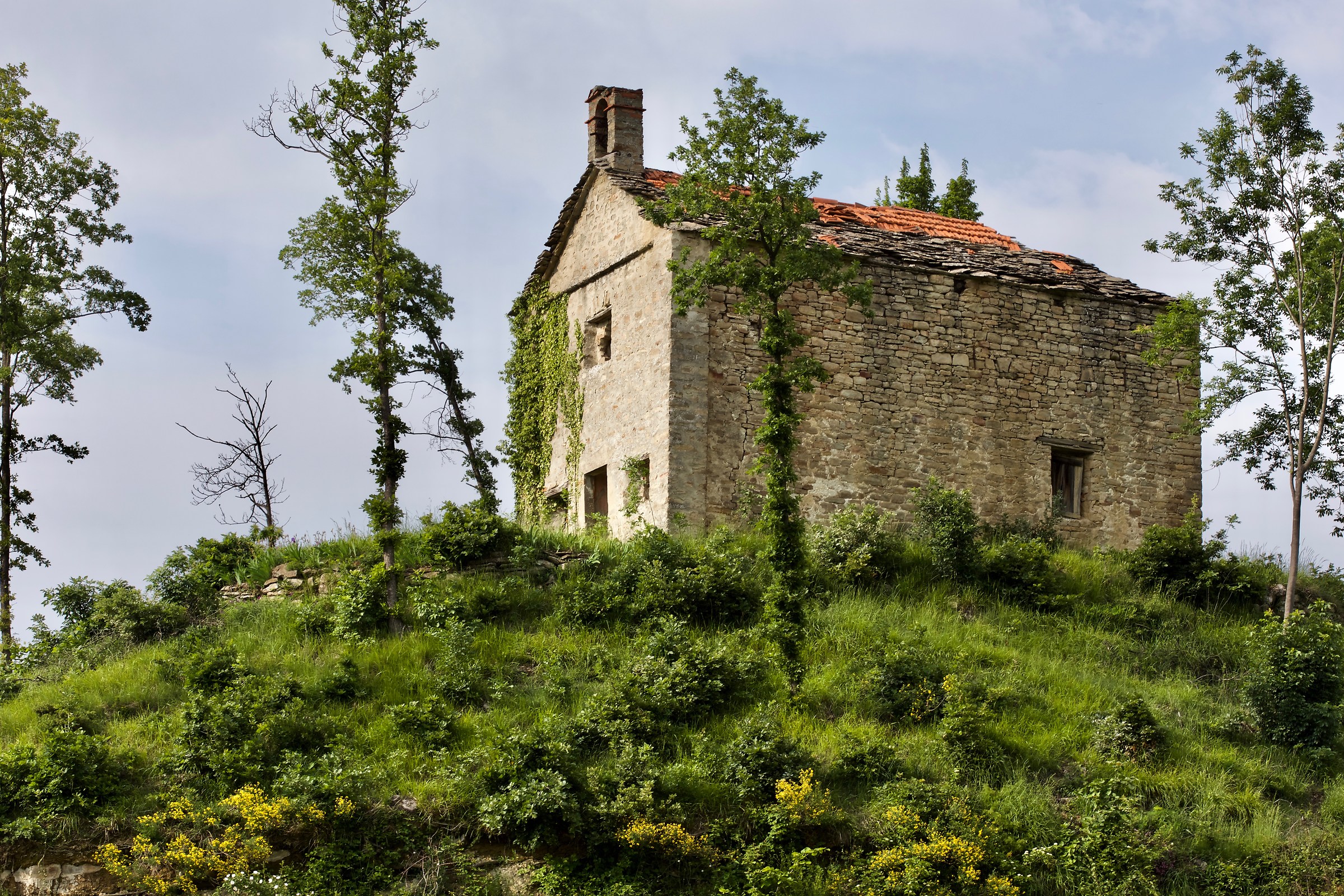 Ruderi di San Massimo (Olmo Gentile)