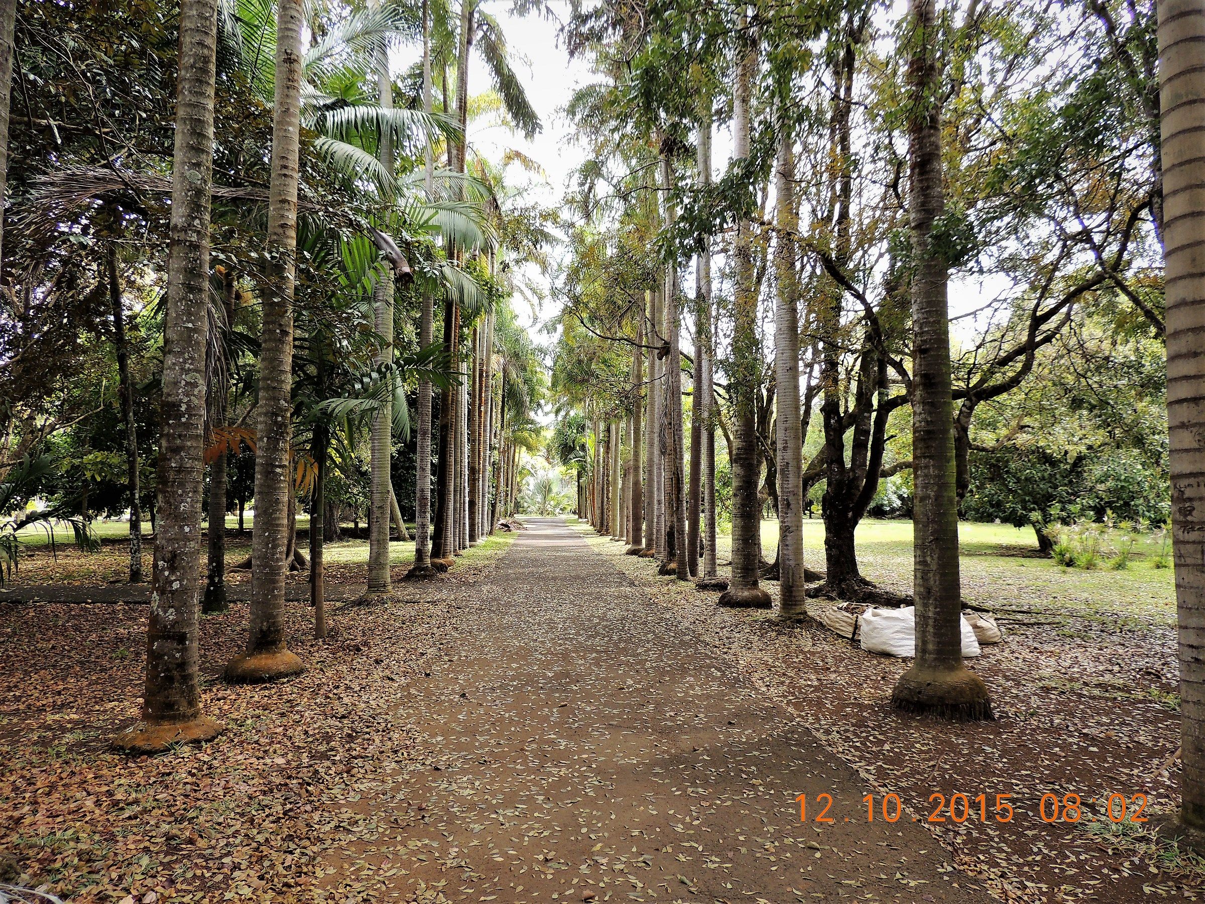 mauritius park