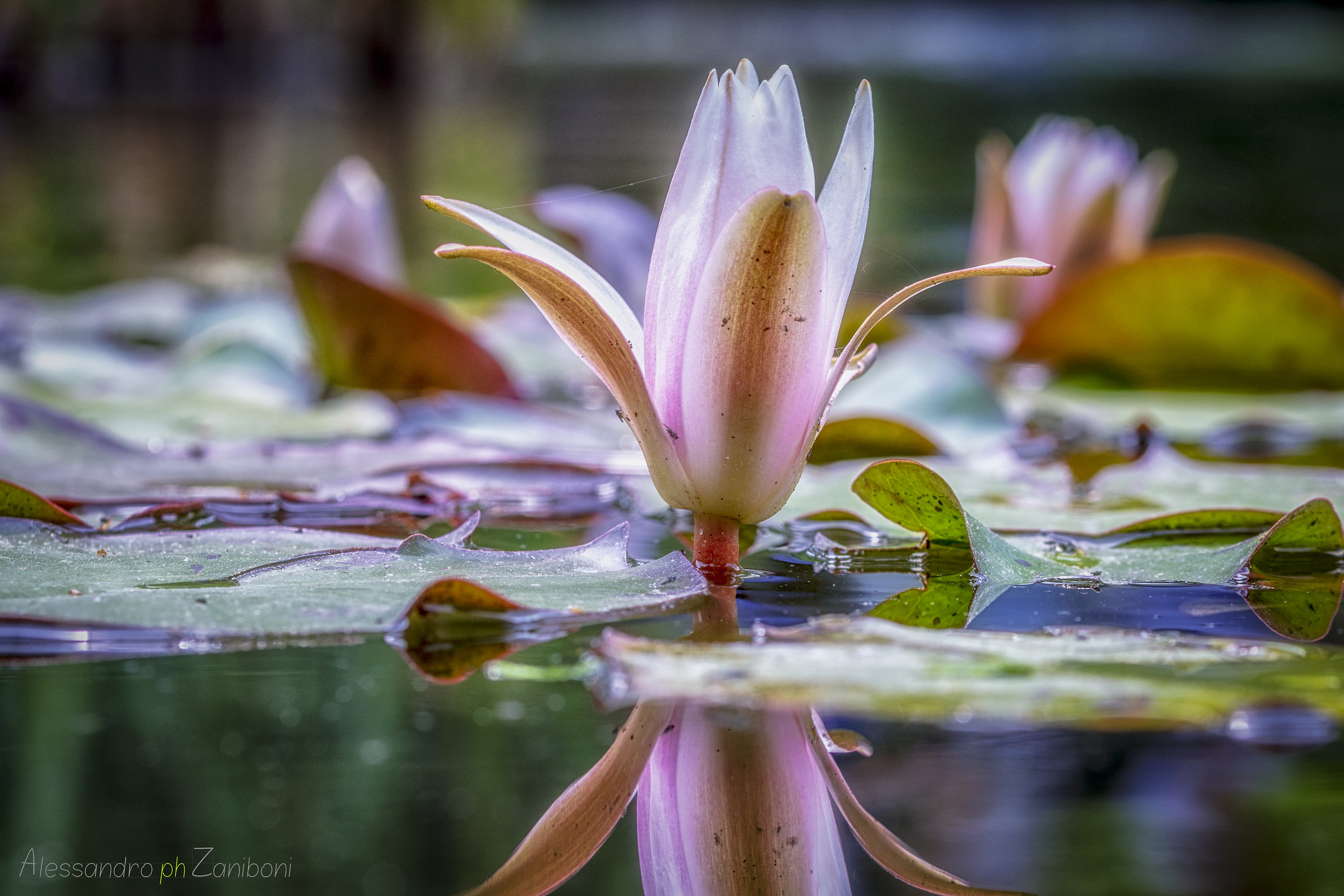 Ciò che siamo, è ciò che ci sostiene