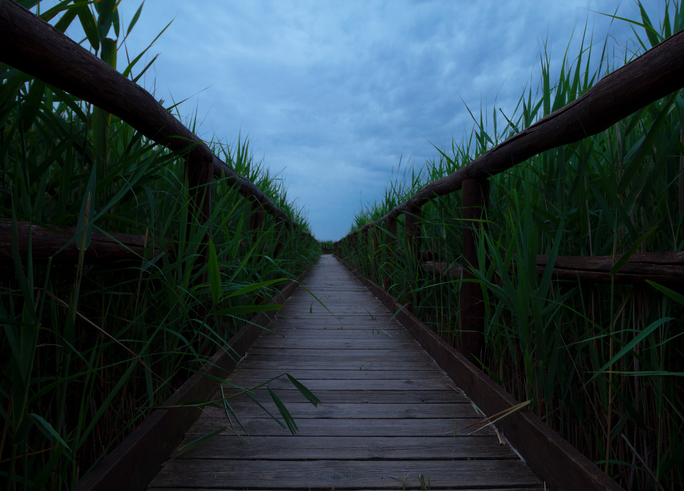 Lake of MASSACIUCCOLI