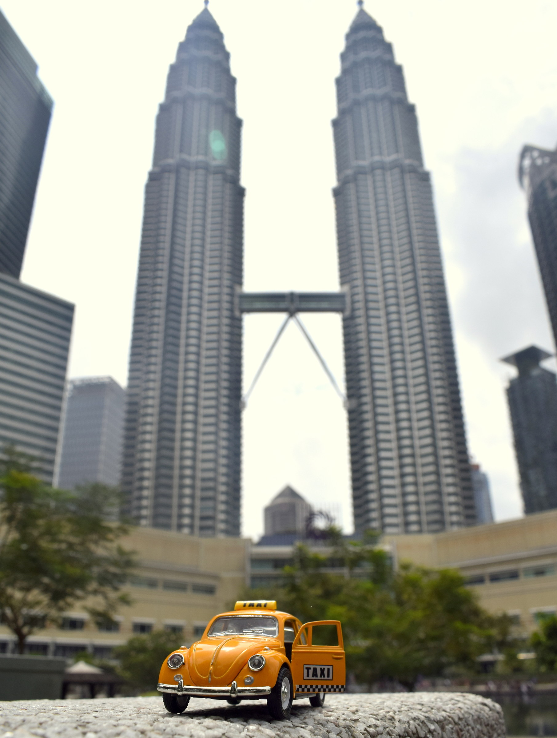 Raduno delle torri gemelle