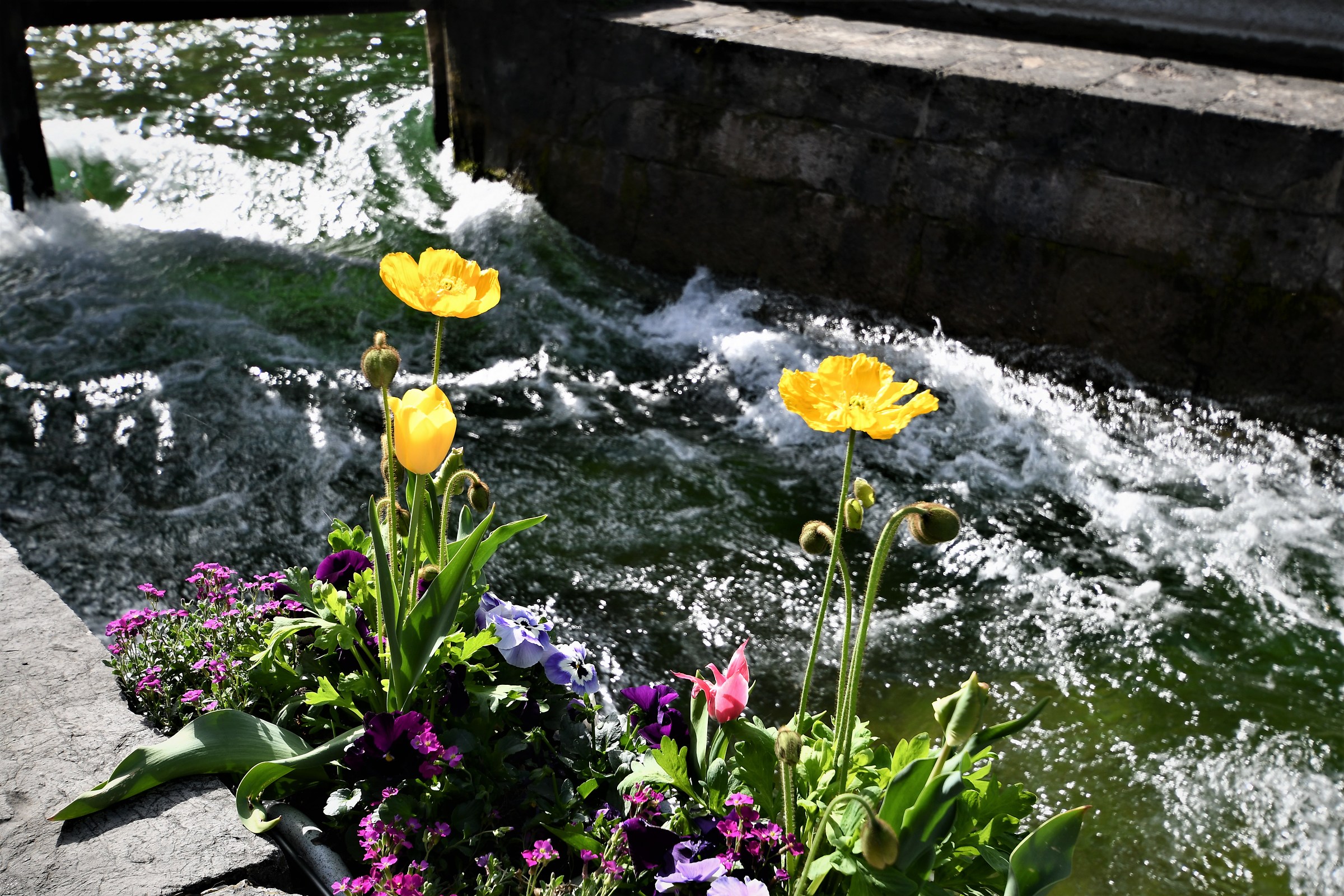 Annecy