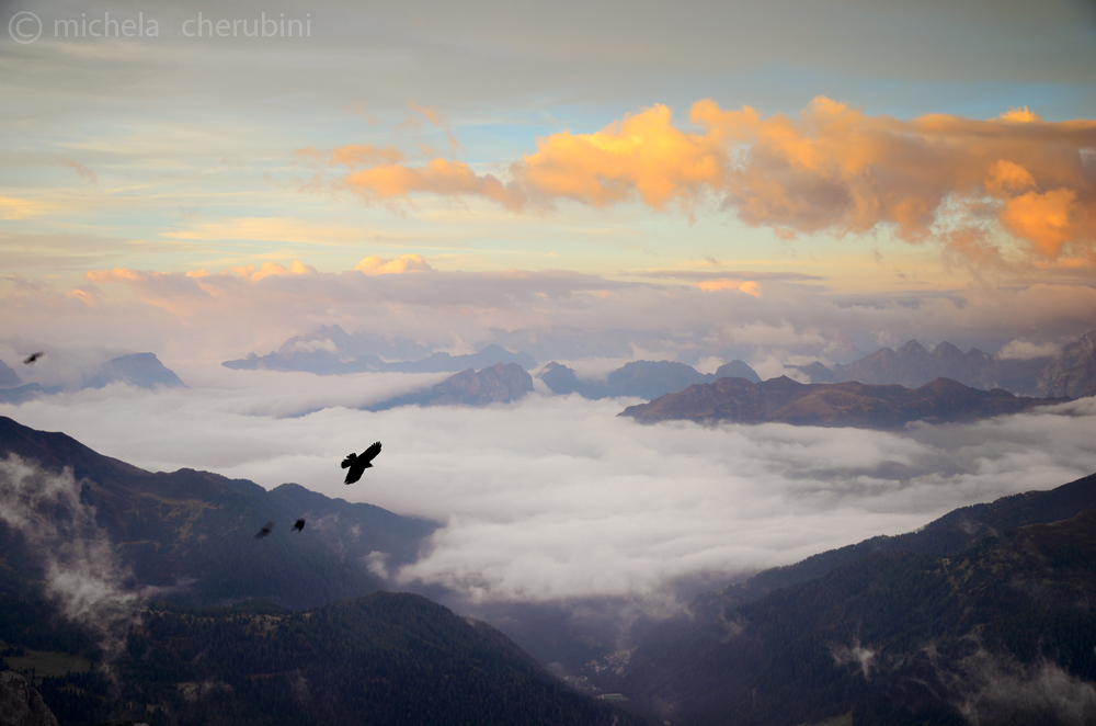 flying among the clouds