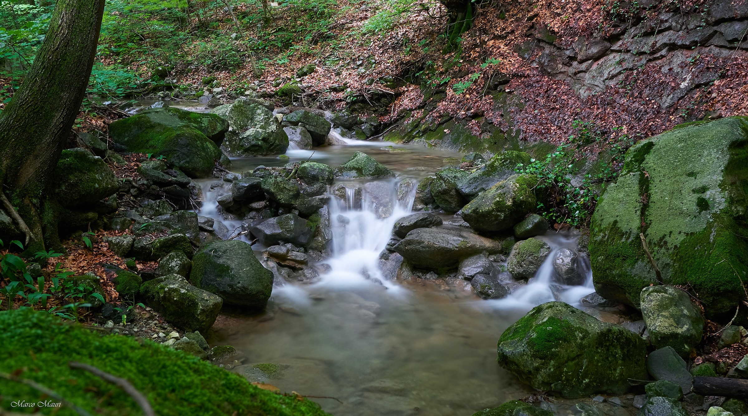 Sentiero geologico 5
