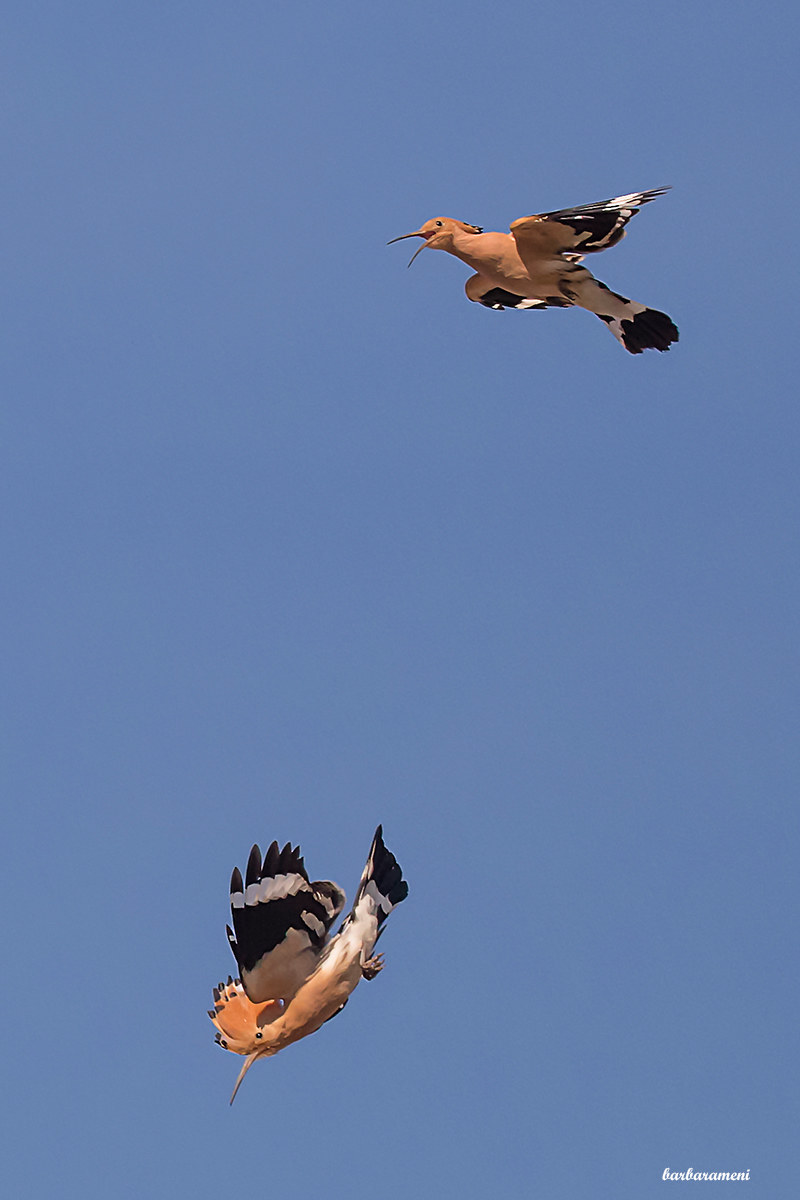 Family discussion....