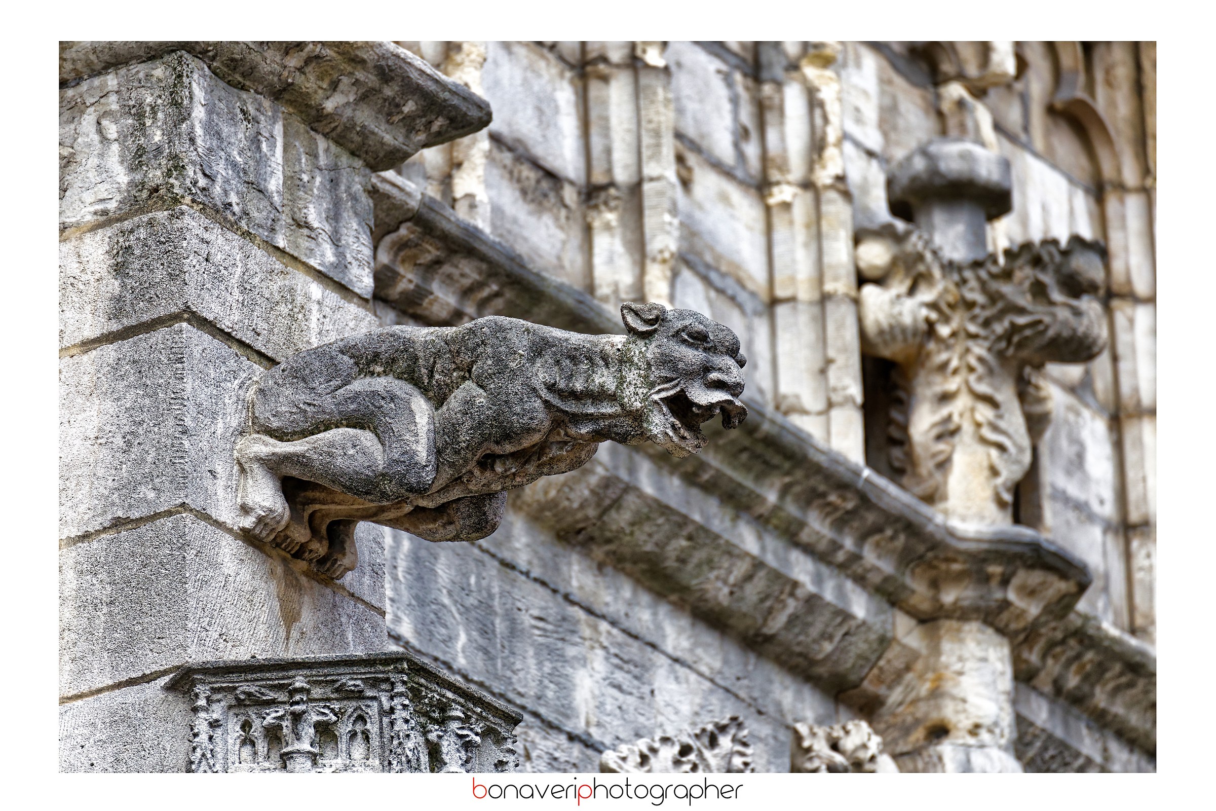 Gargoyle