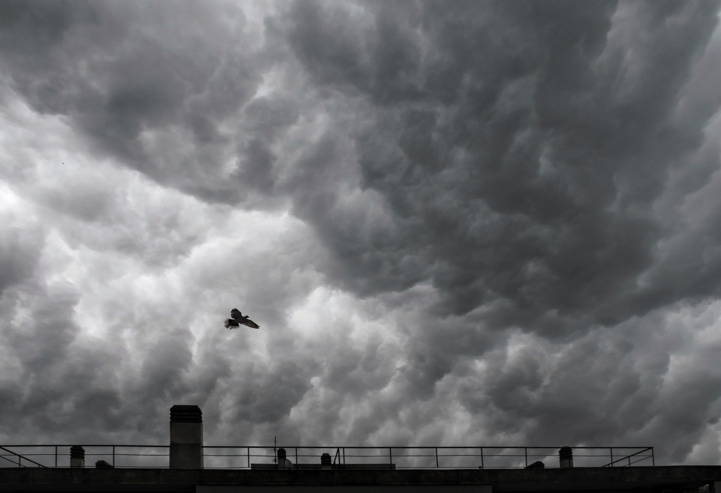 Flying is a commandment