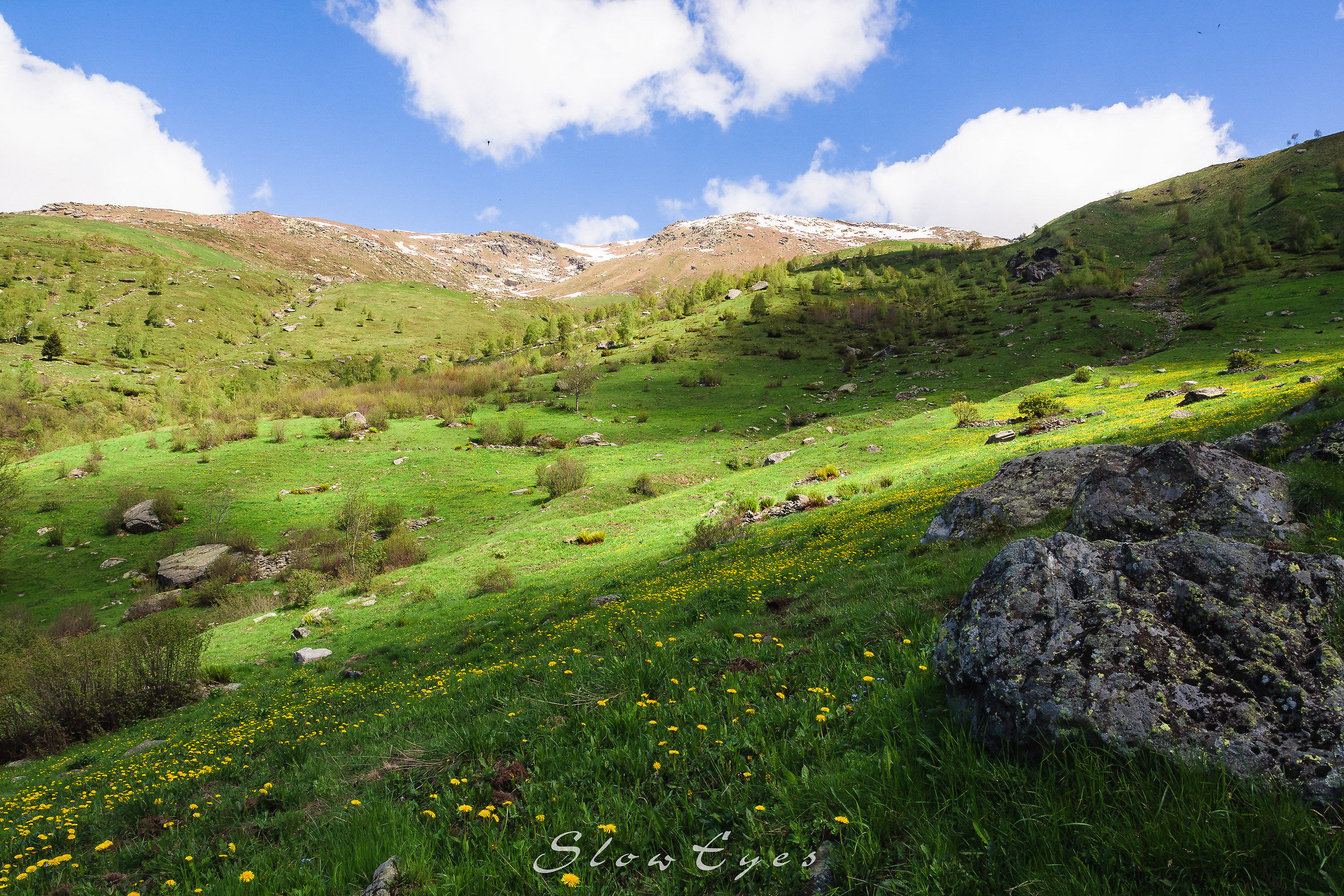 La primavera sale in quota