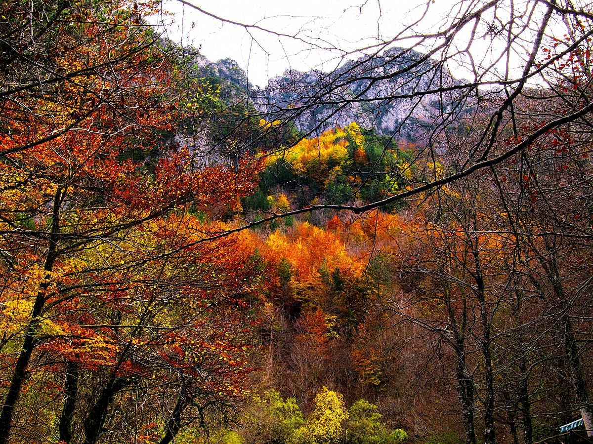 Conca della Camosciara