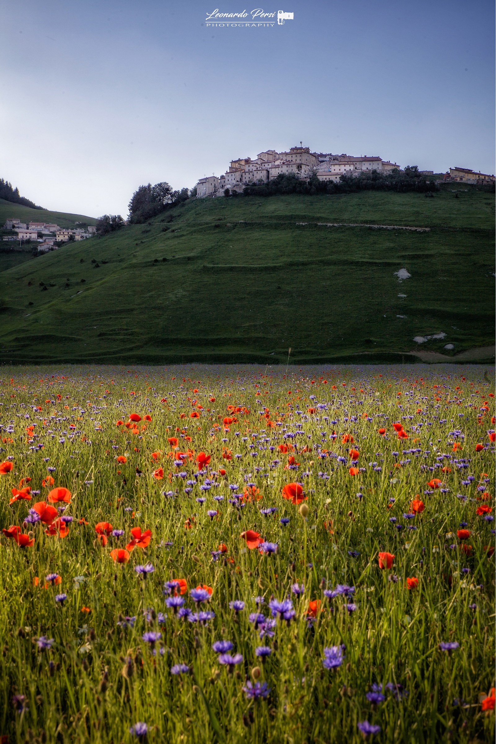 A classic of Castelluccio...