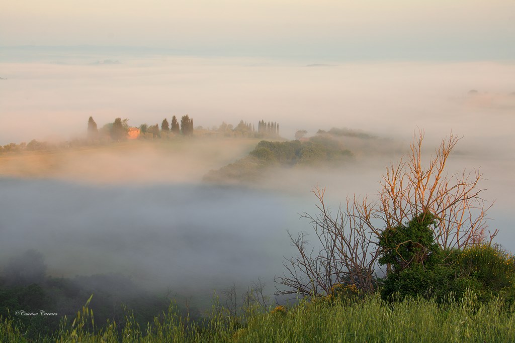 The sun dissolves the fog