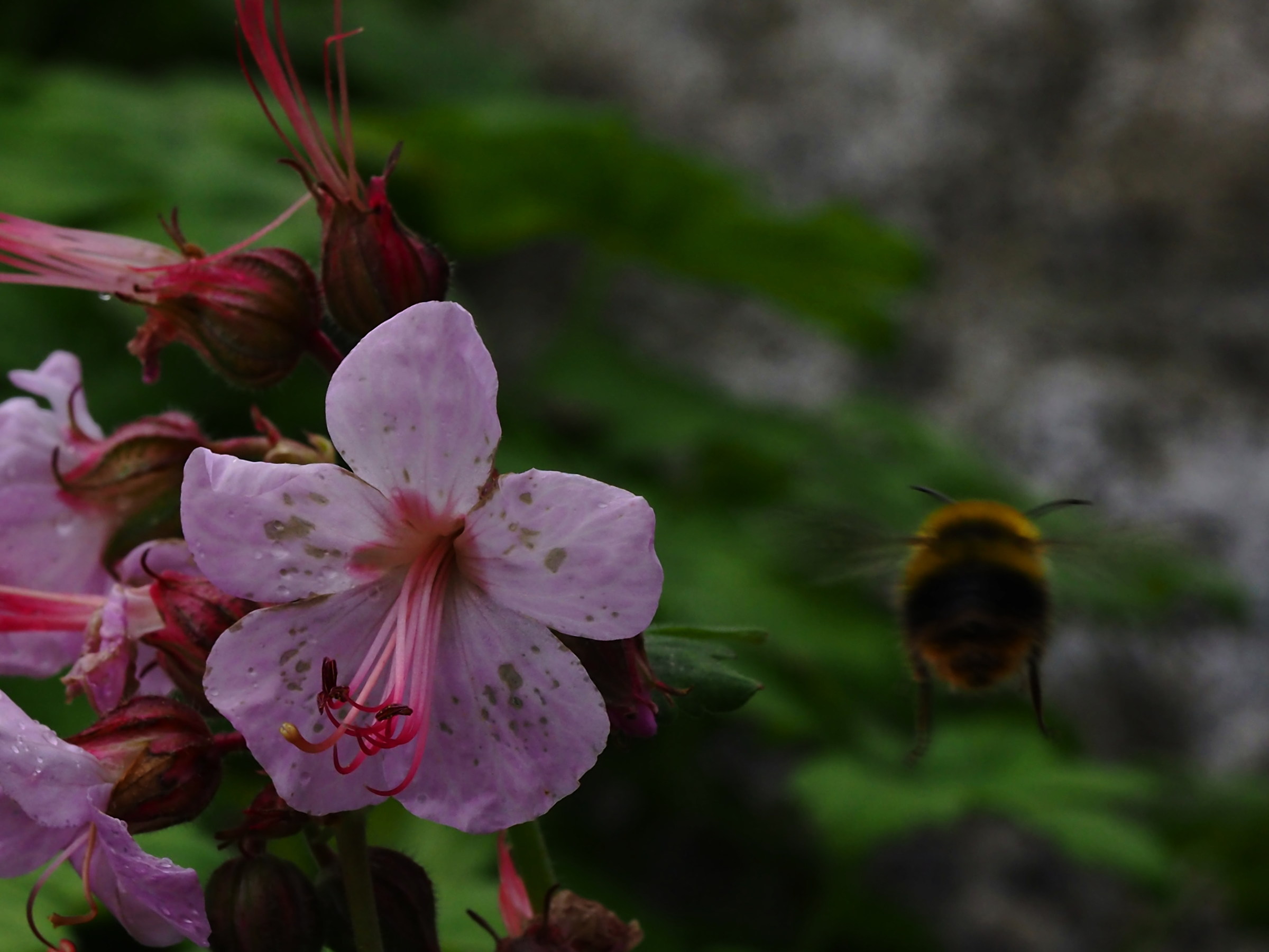 Untitled Photo