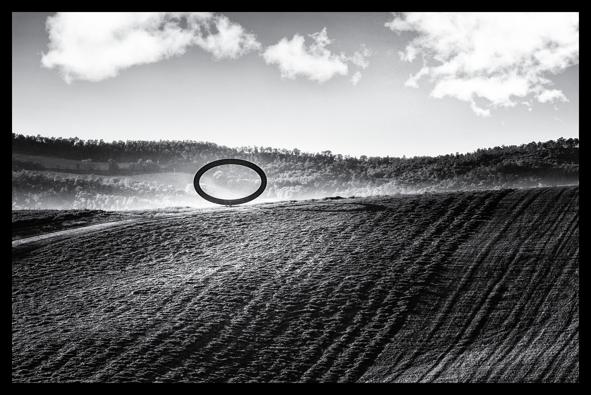 When Nature meets art