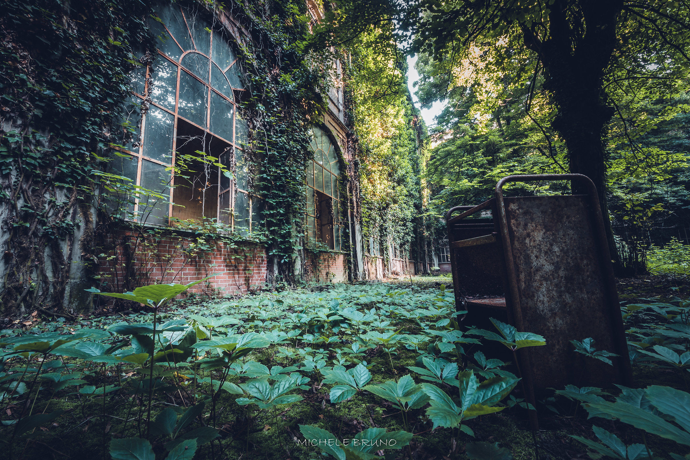 Ex PsYcHiAtRiC HoSpItAl 2