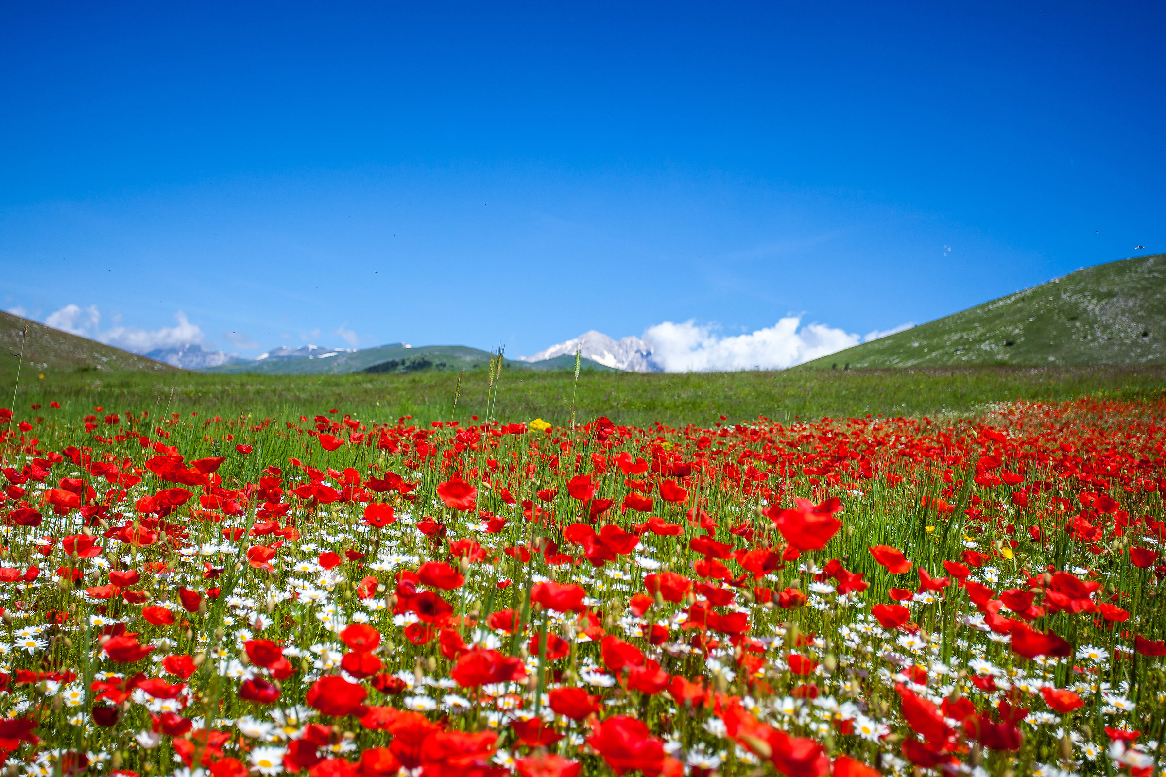 pennellata di rosso sui monti