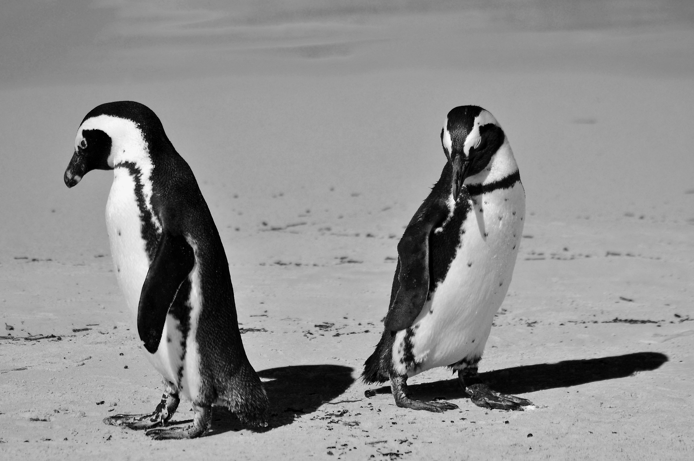 Crossroads on the Beach