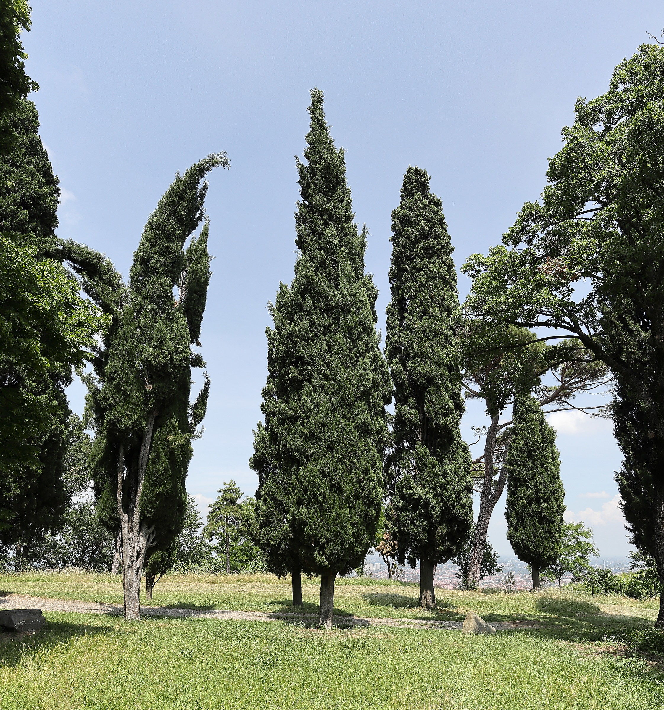 Hermitage of Hum (Bo).