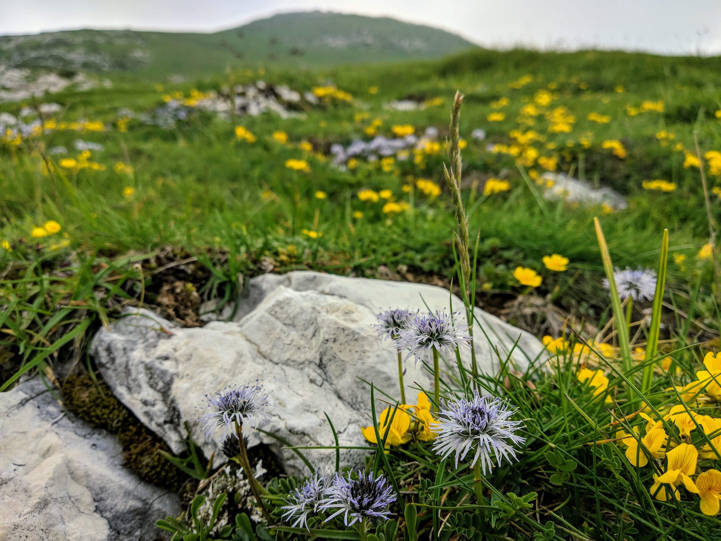 A lifetime of colors