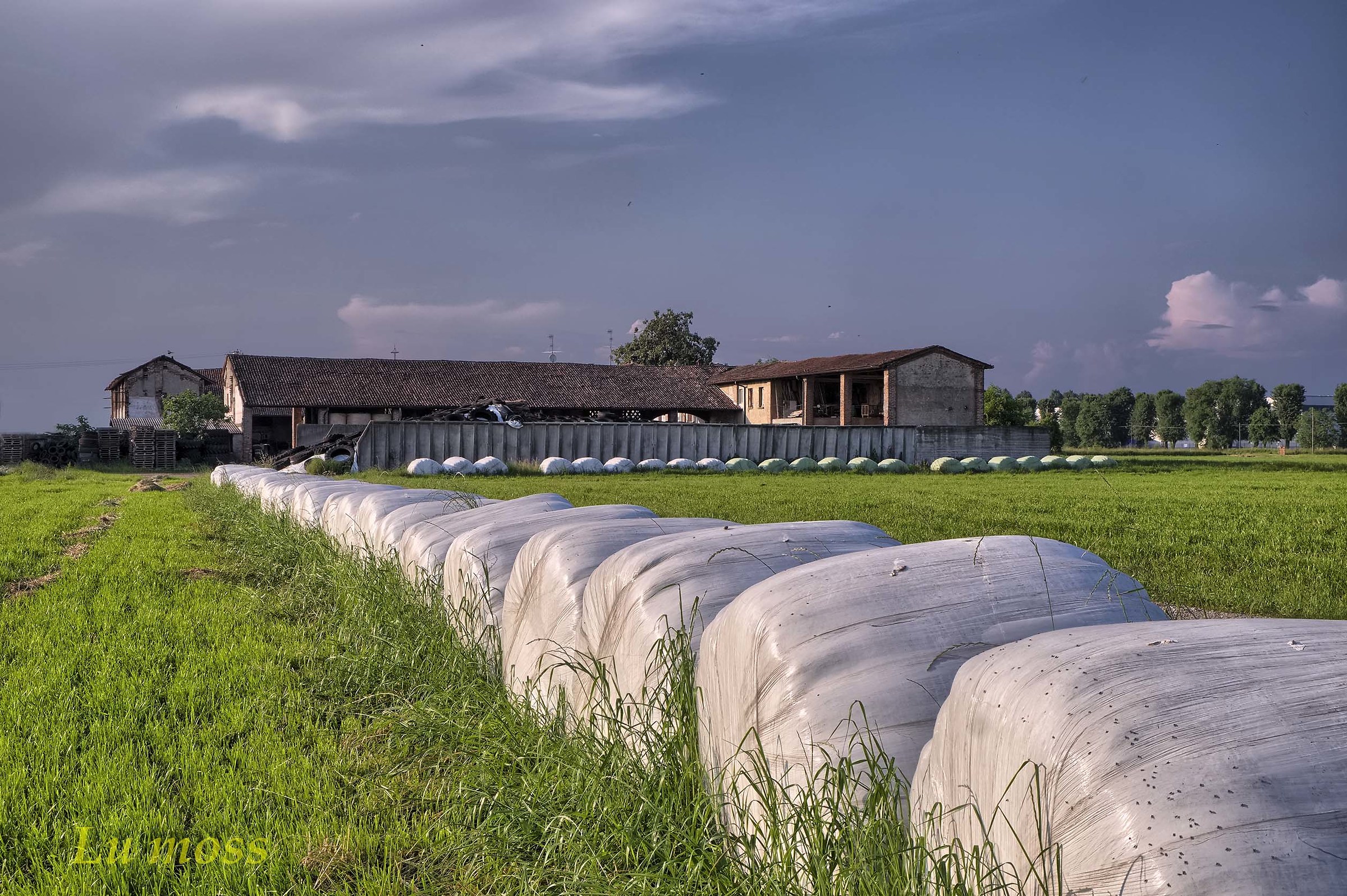 Bales, the season begins.