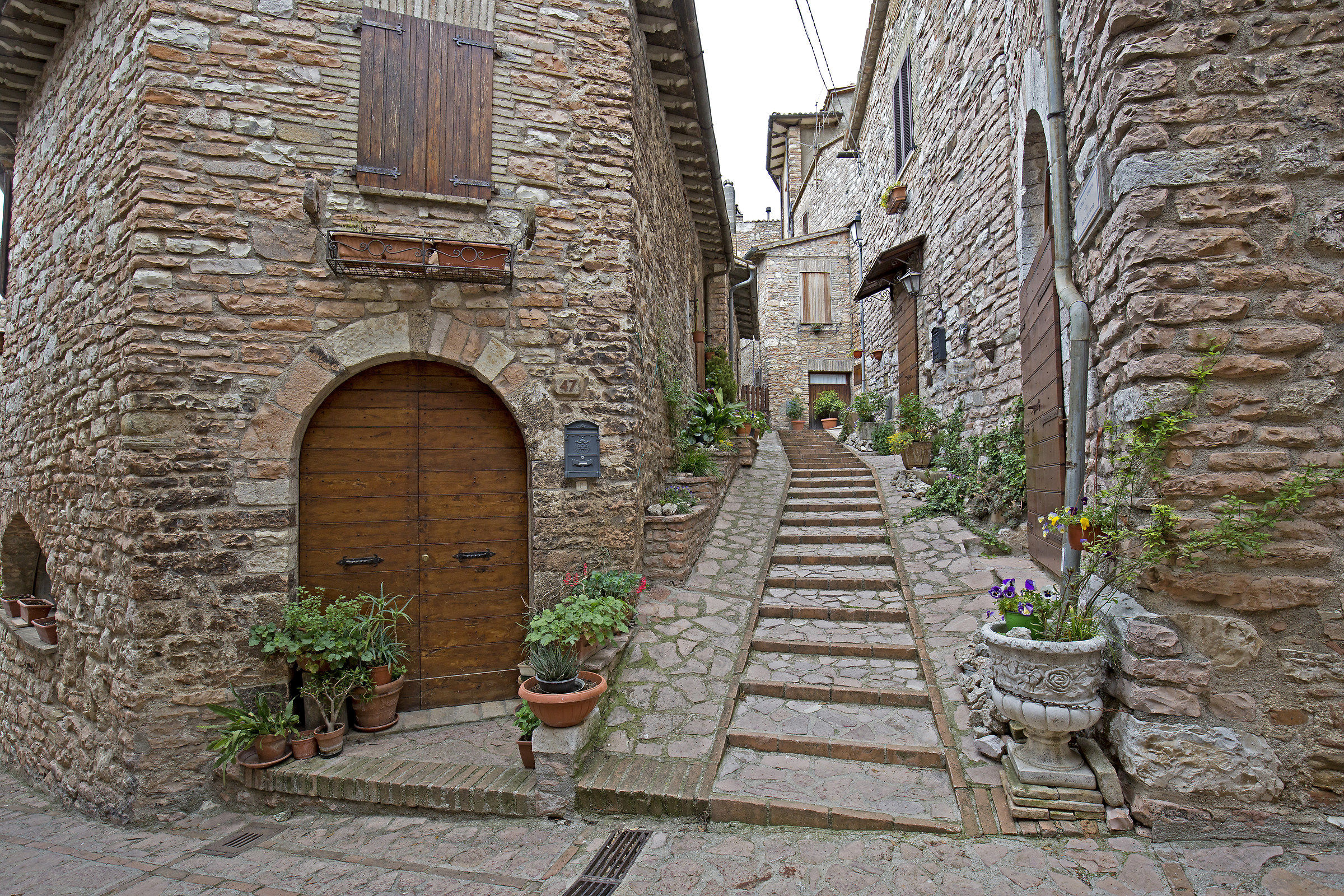 Collepino  una graziosa stradina