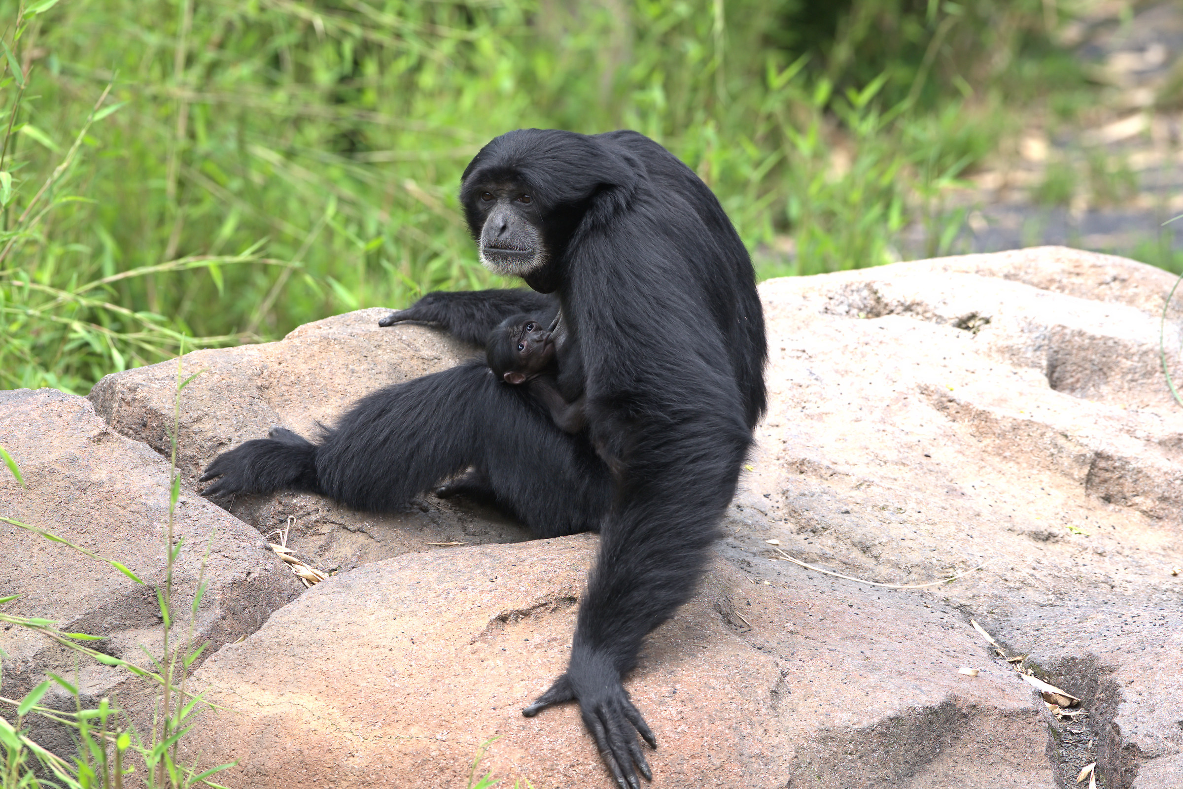 Moments of intimacy...