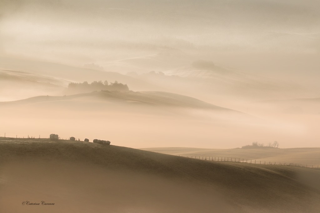 La nebbia agli irti colli...