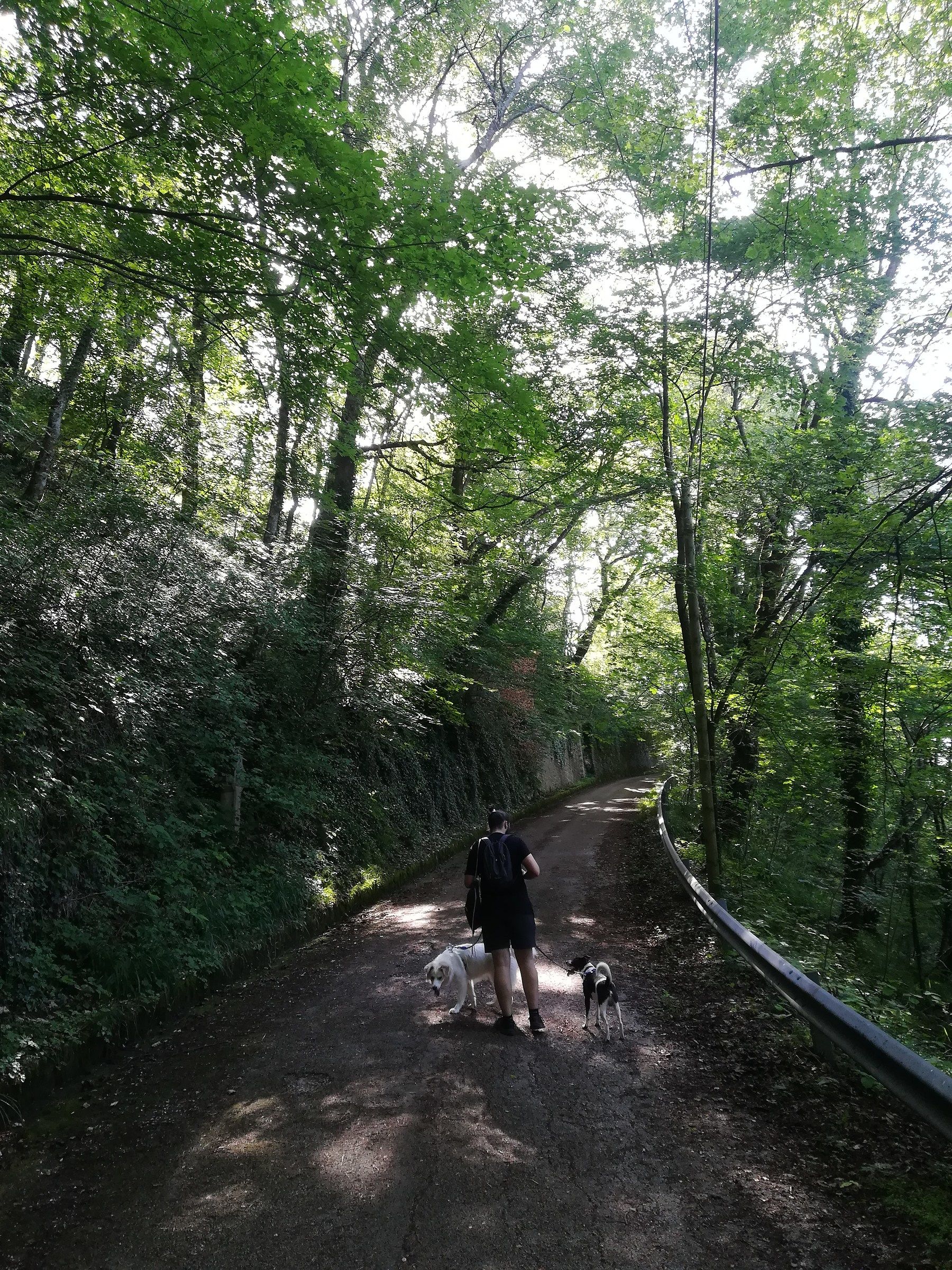Via crucis, monastero di San silvestro
