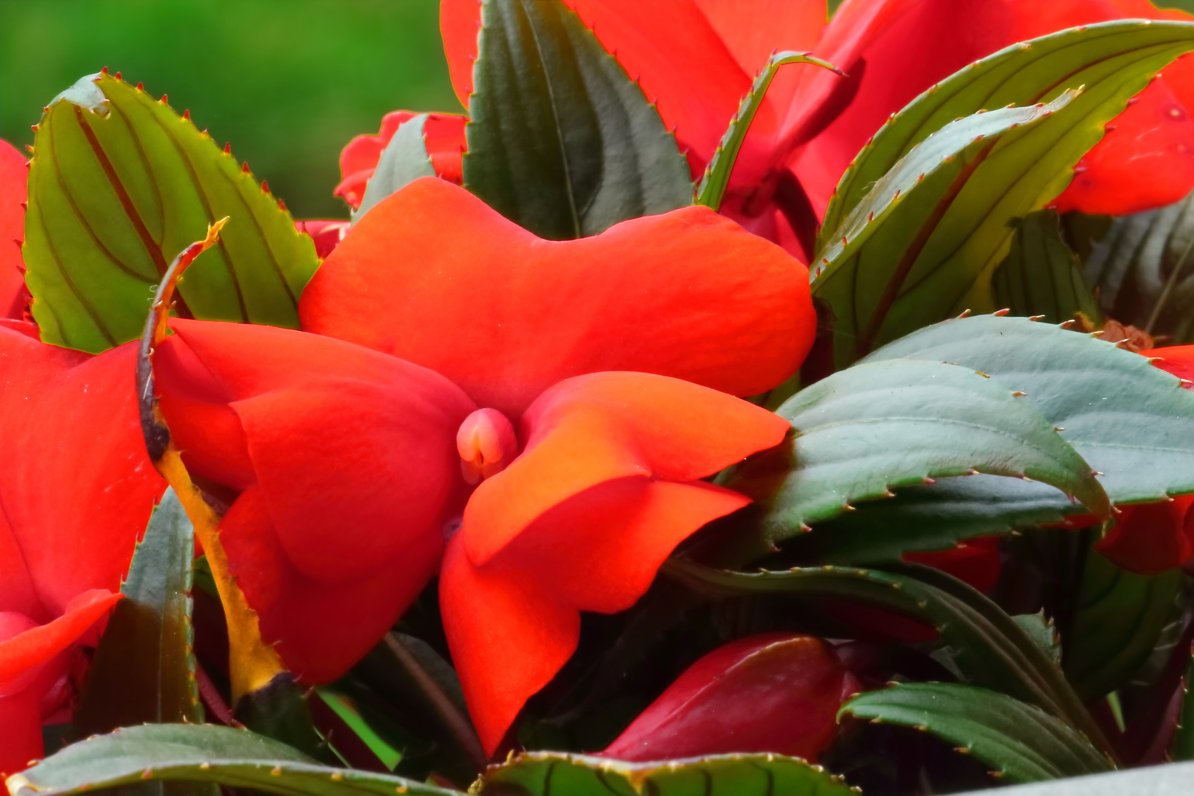 prova di postproduzione