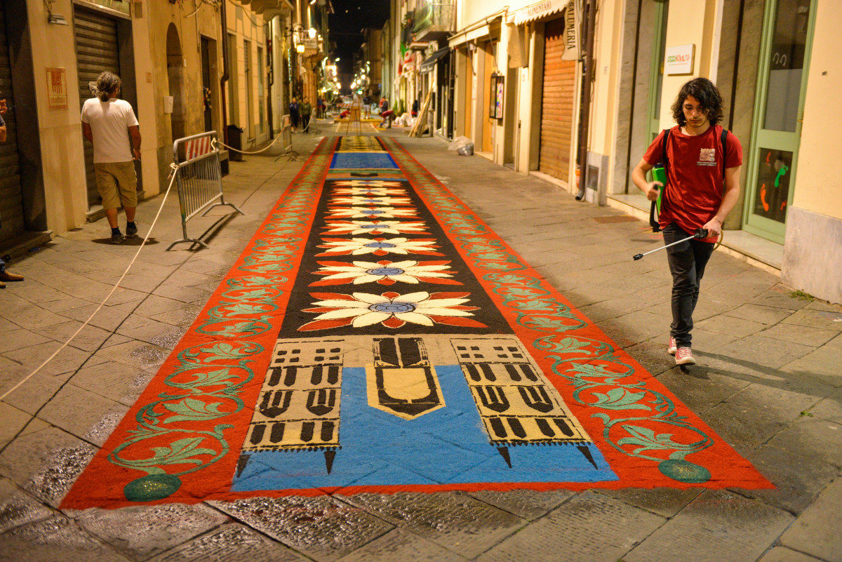 Carpets of sawdust-Camaiore Lu