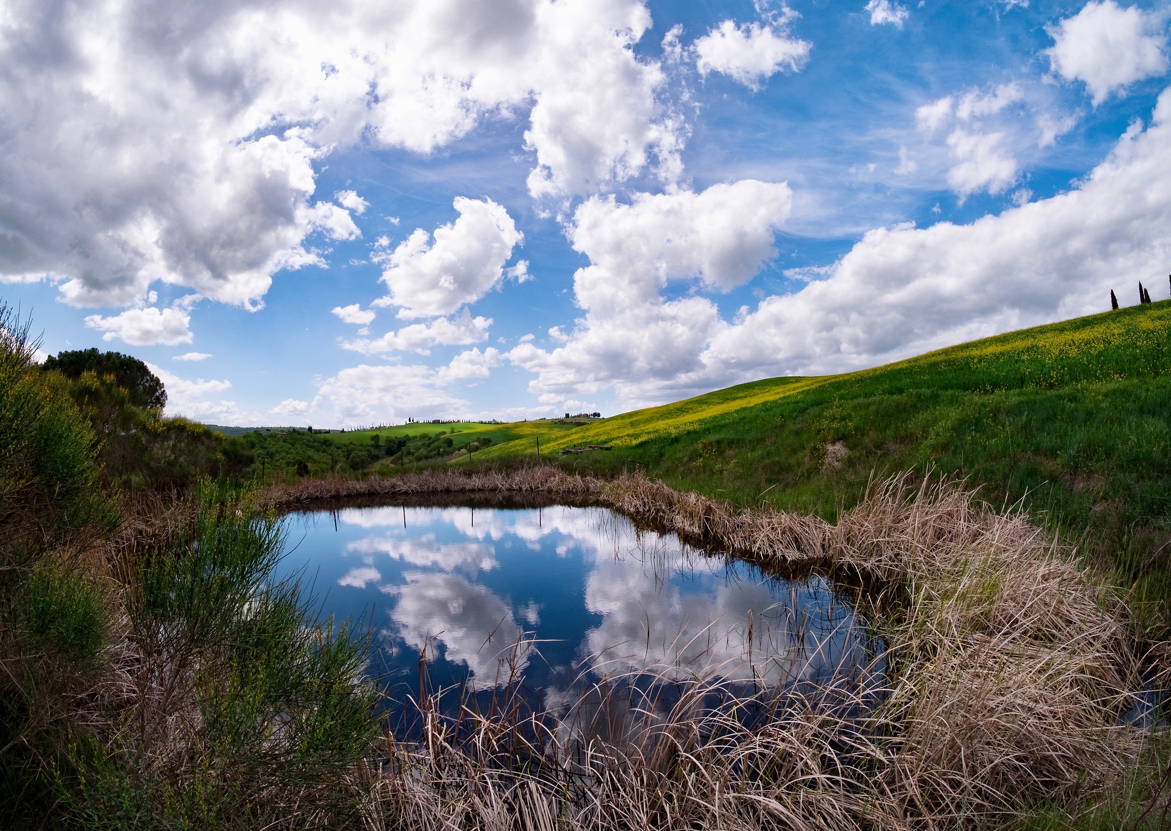 Riflessi in Val d'orcia