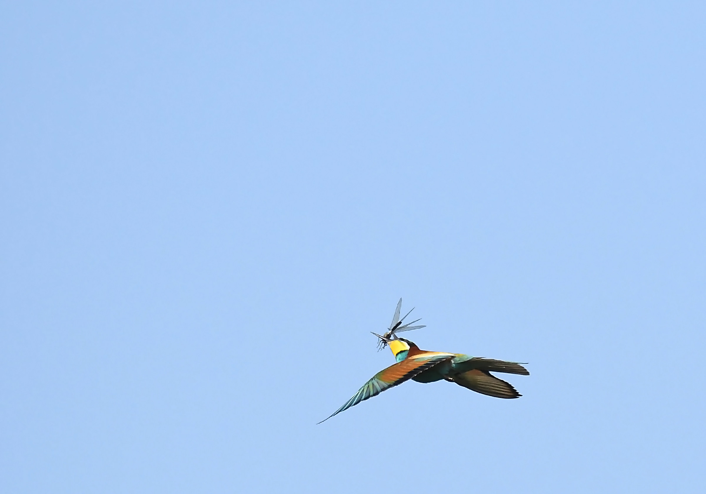 L'attimo S-fuggente!