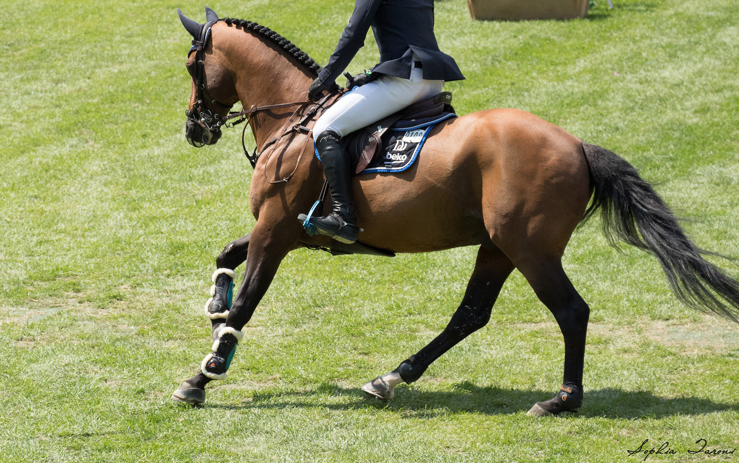 Piazza di siena csio 2018
