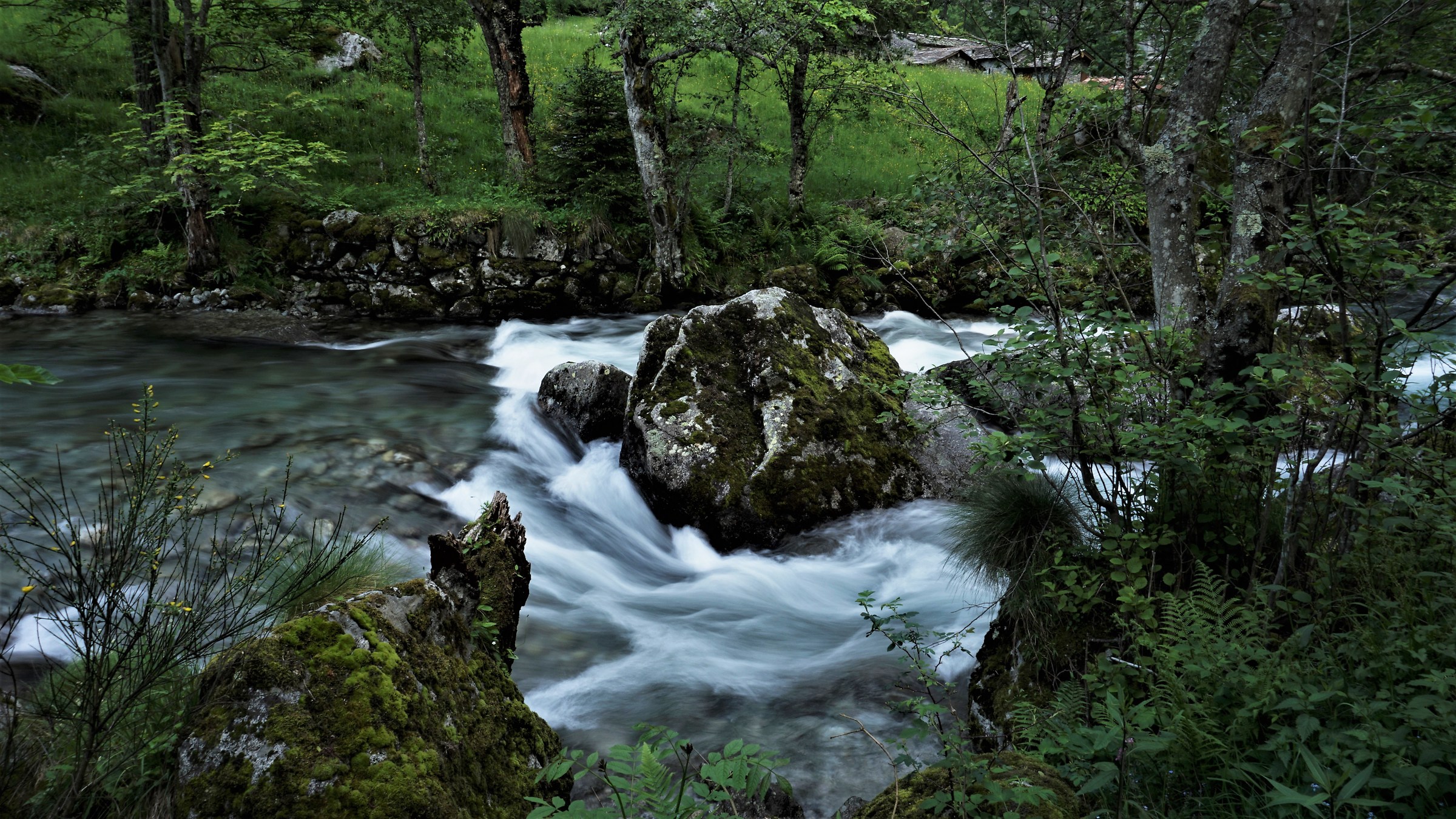 Torrente in Val di Mello