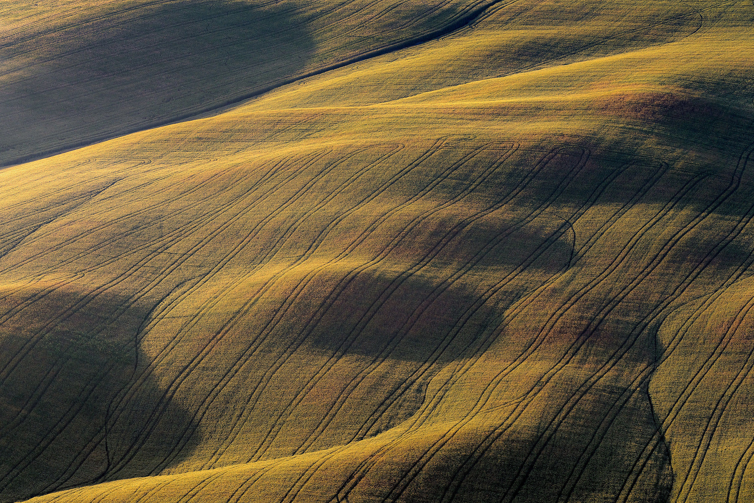 Tuscan Geometries