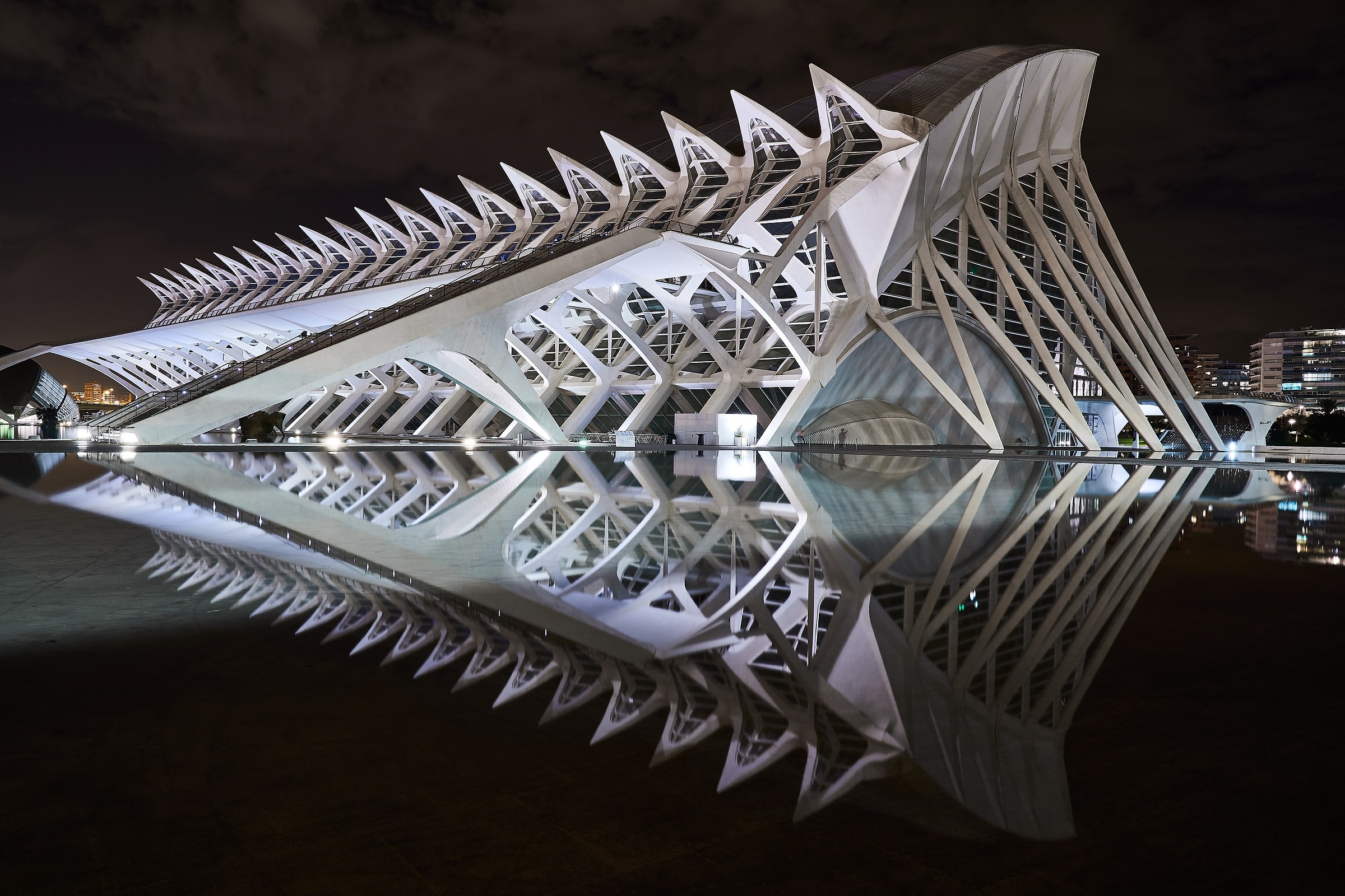 Ciutat de les arts i les Ciències