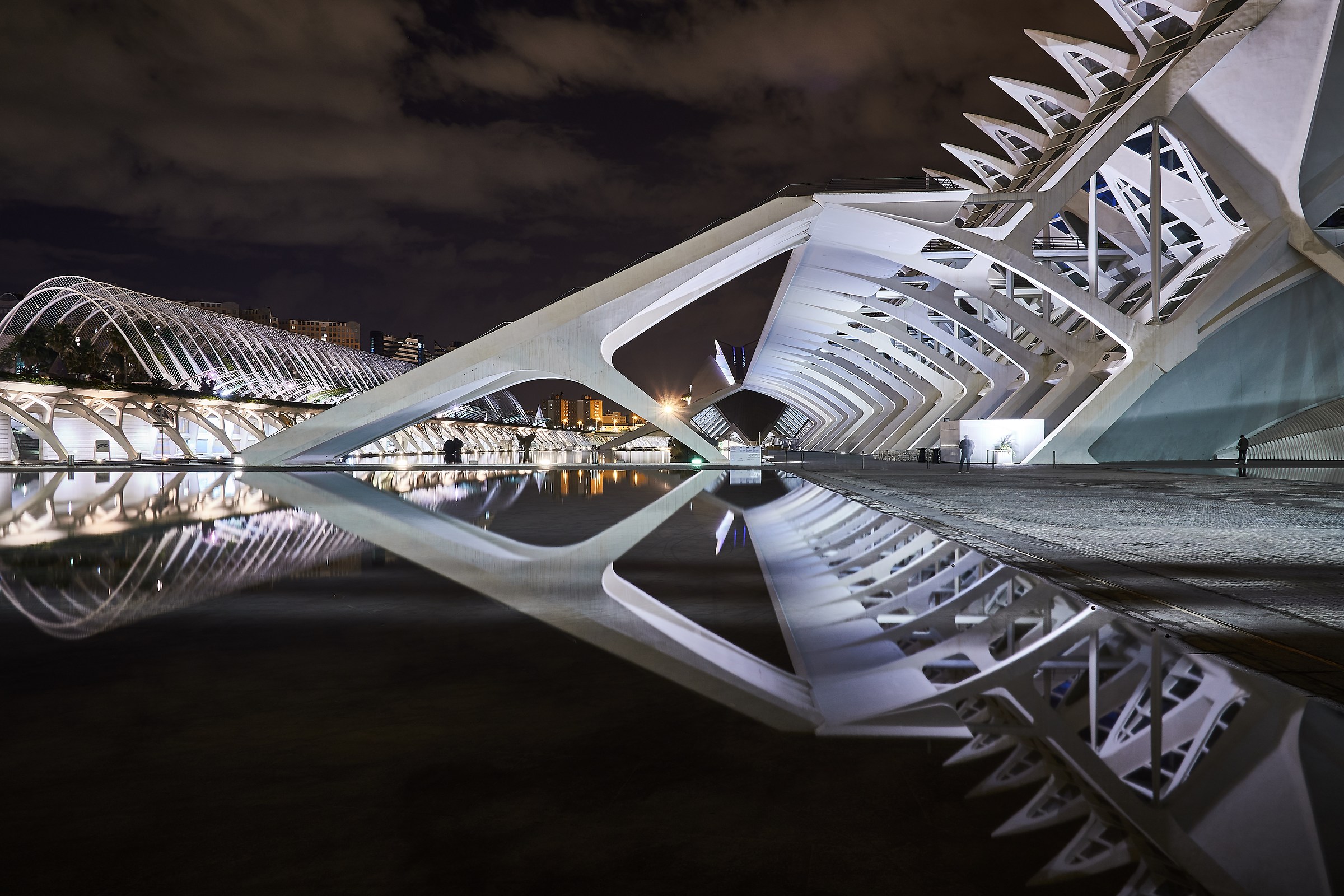 Ciutat de les arts i les Ciències