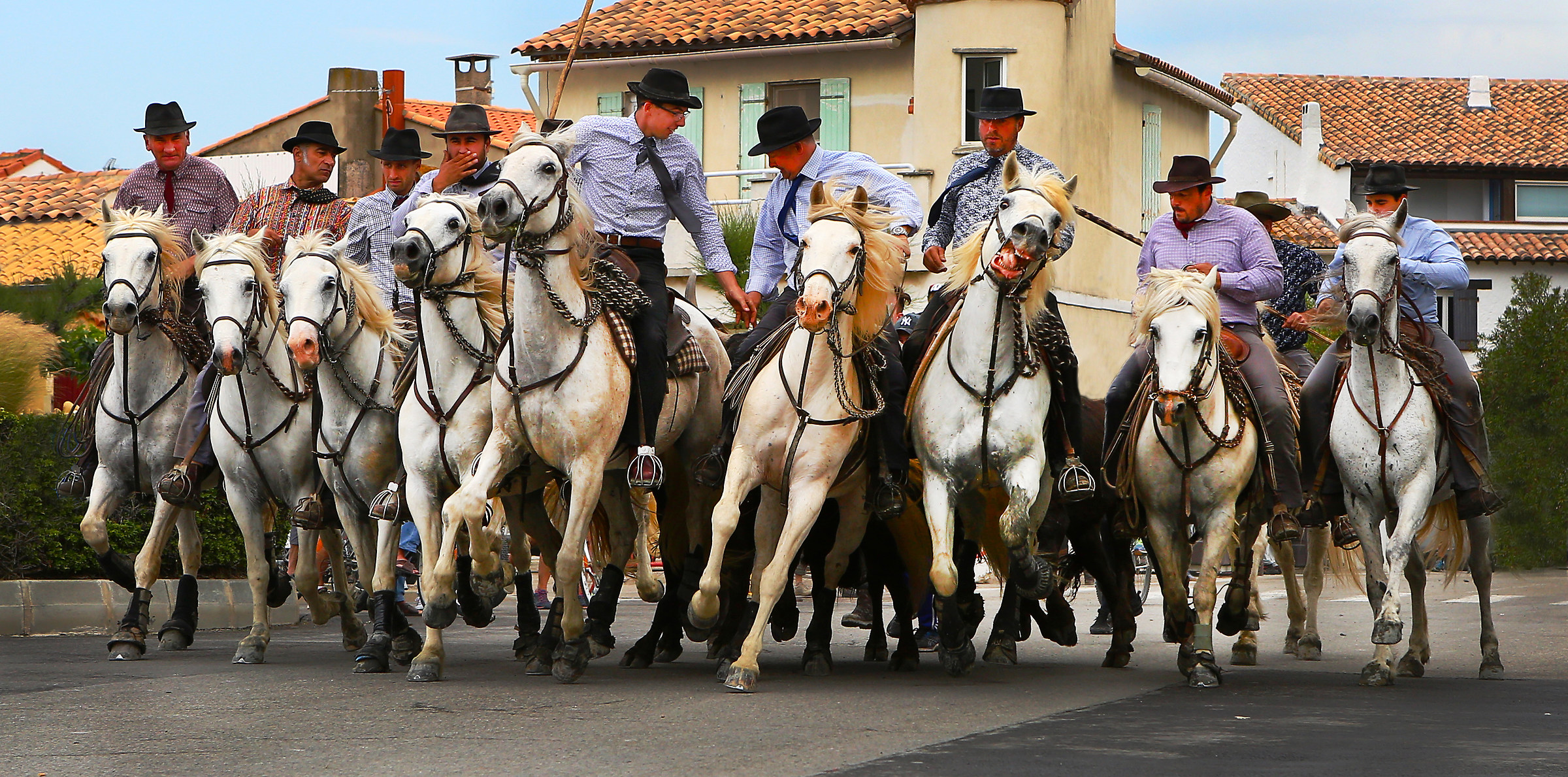 Abrivado Saintes Marie De la Mer