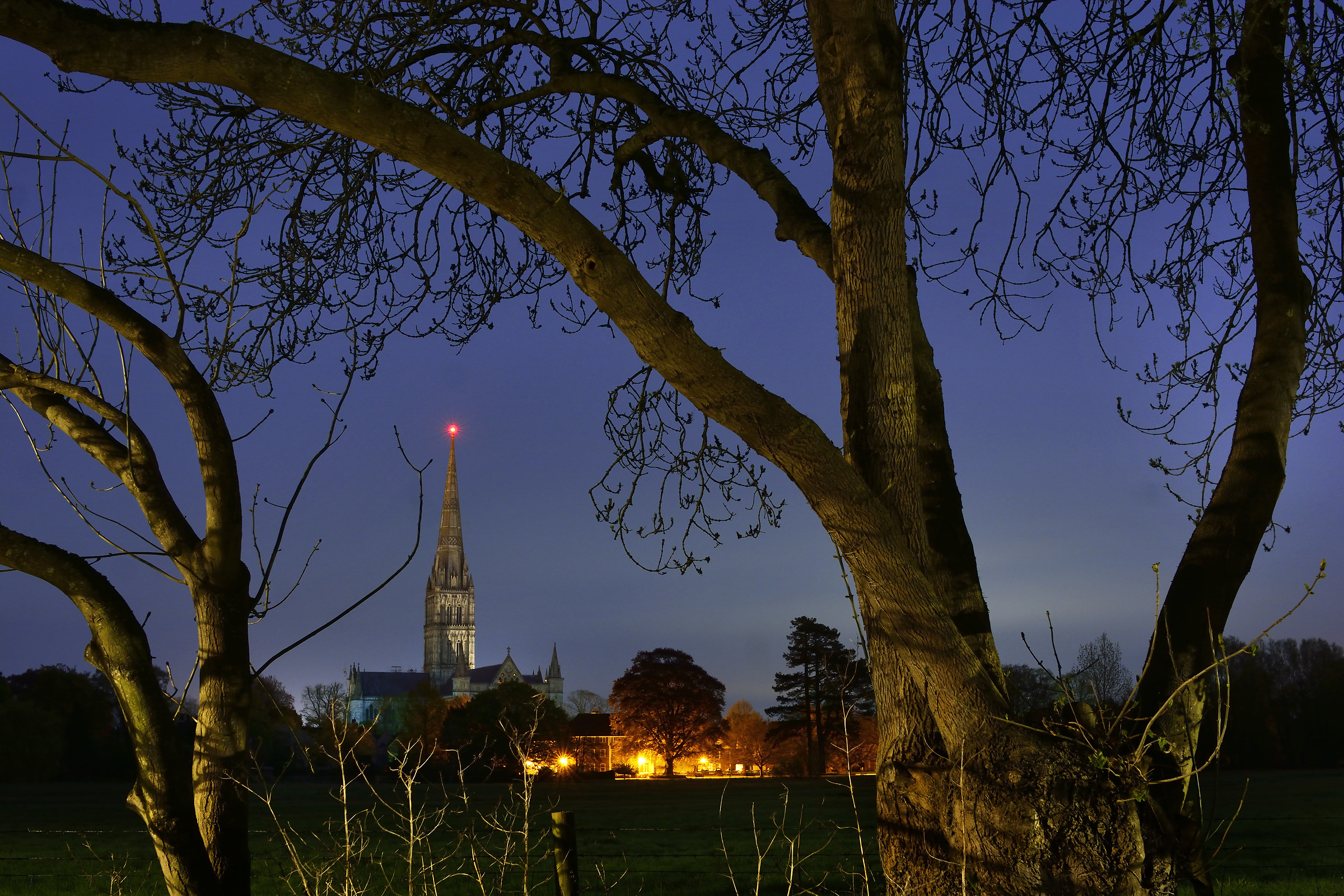 Moonlight si mescola con la luce artificiale