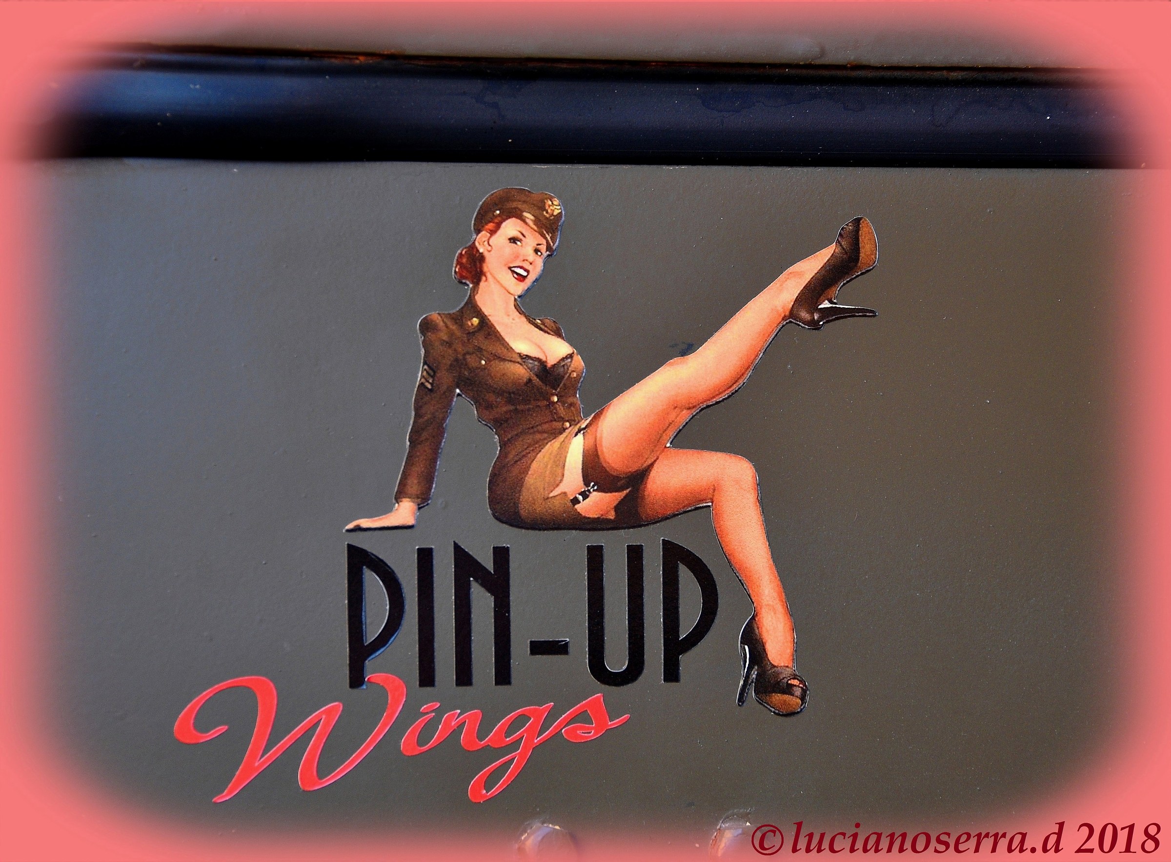 Pin Up... Wings