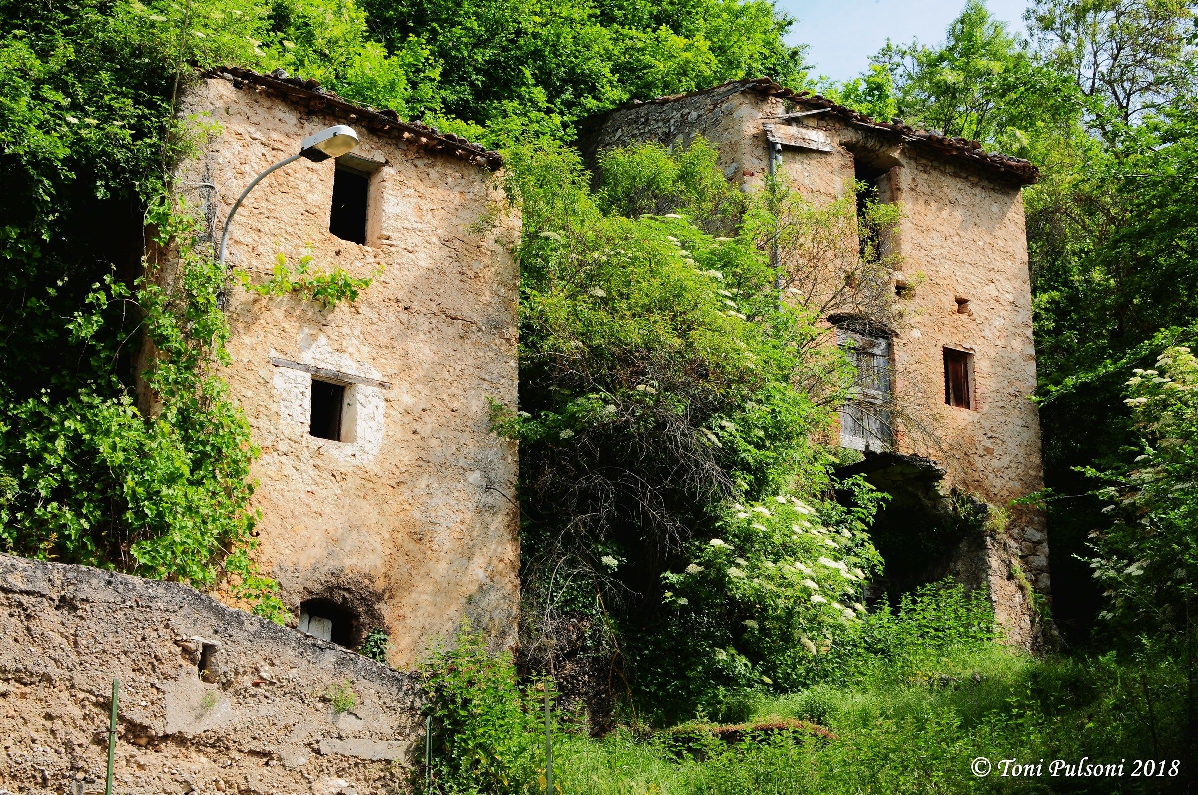 Abandoned farmhouses