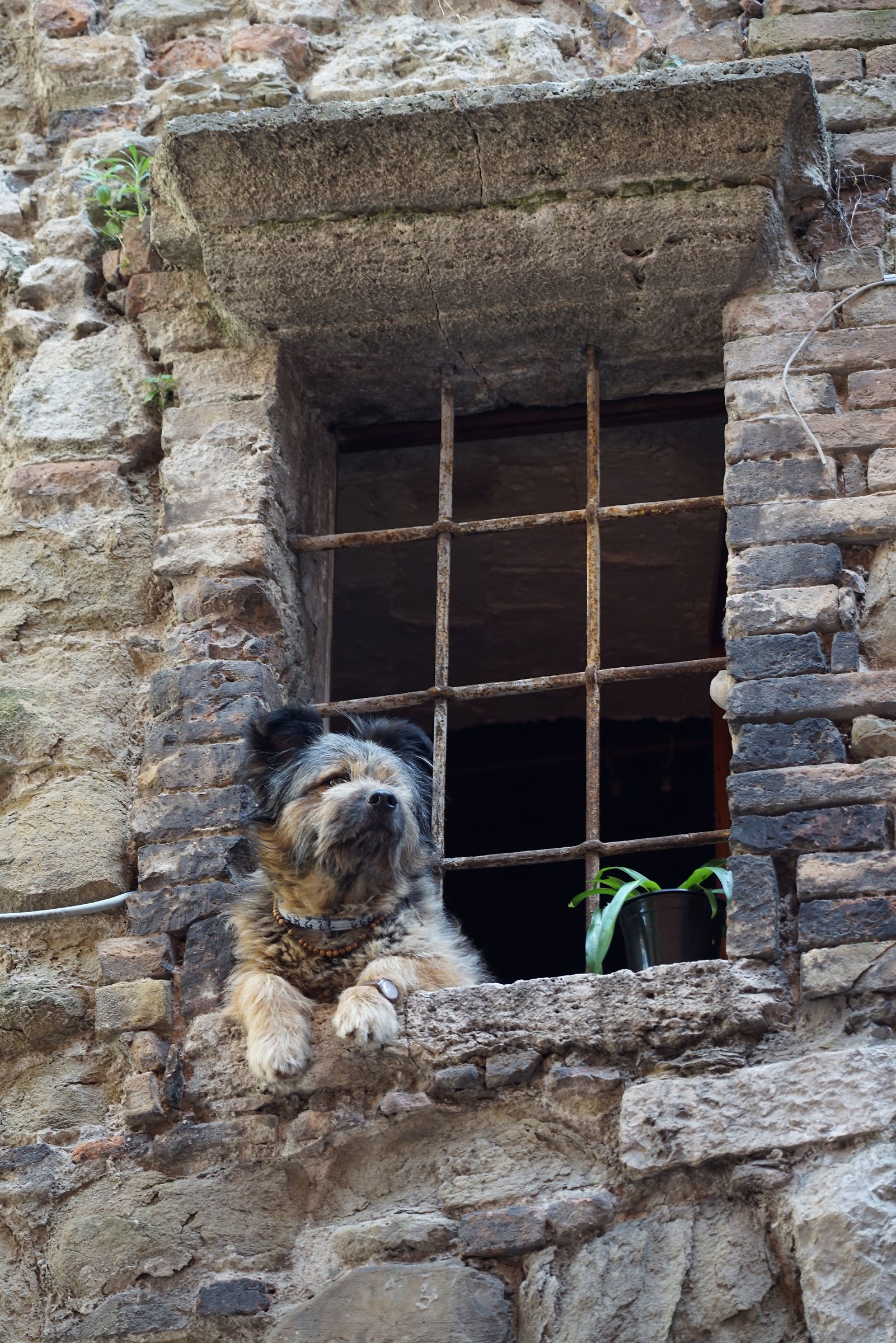 Toglietemi tutto, ma non il mio...