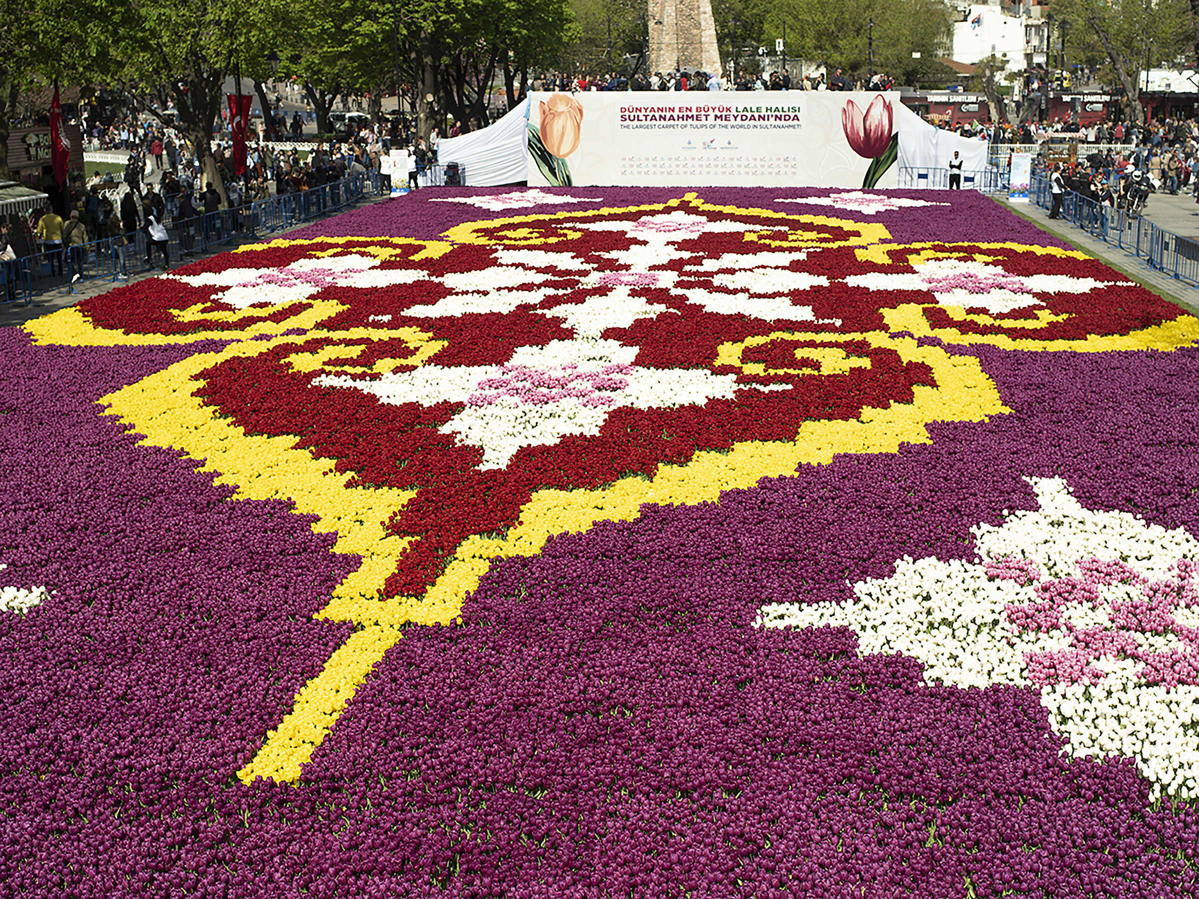 Il più grande tappeto di tulipani del mondo a Istanbu...