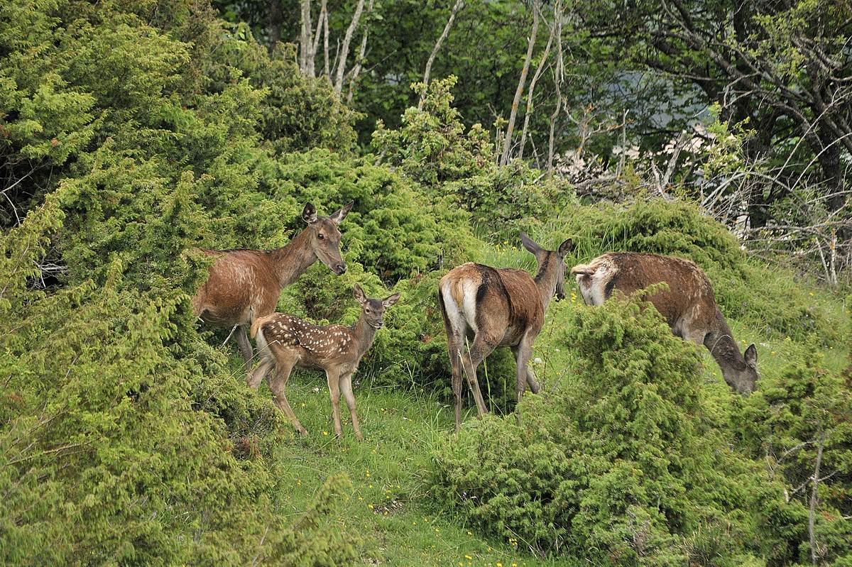 non ti fidare di quelli come lui