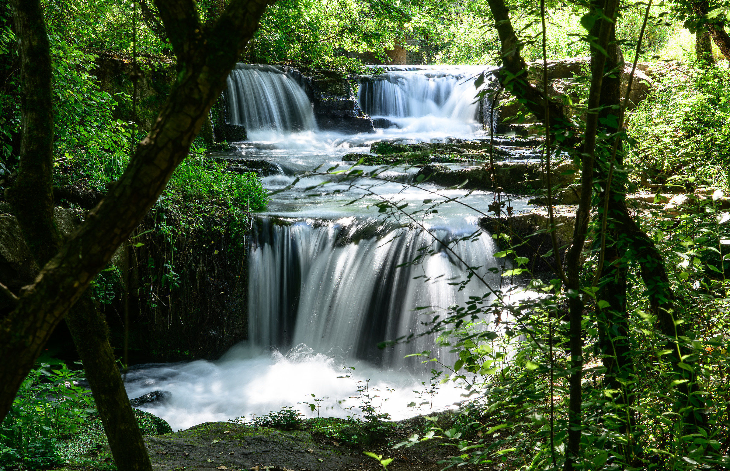 Vejo Park-Treja River Waterfalls