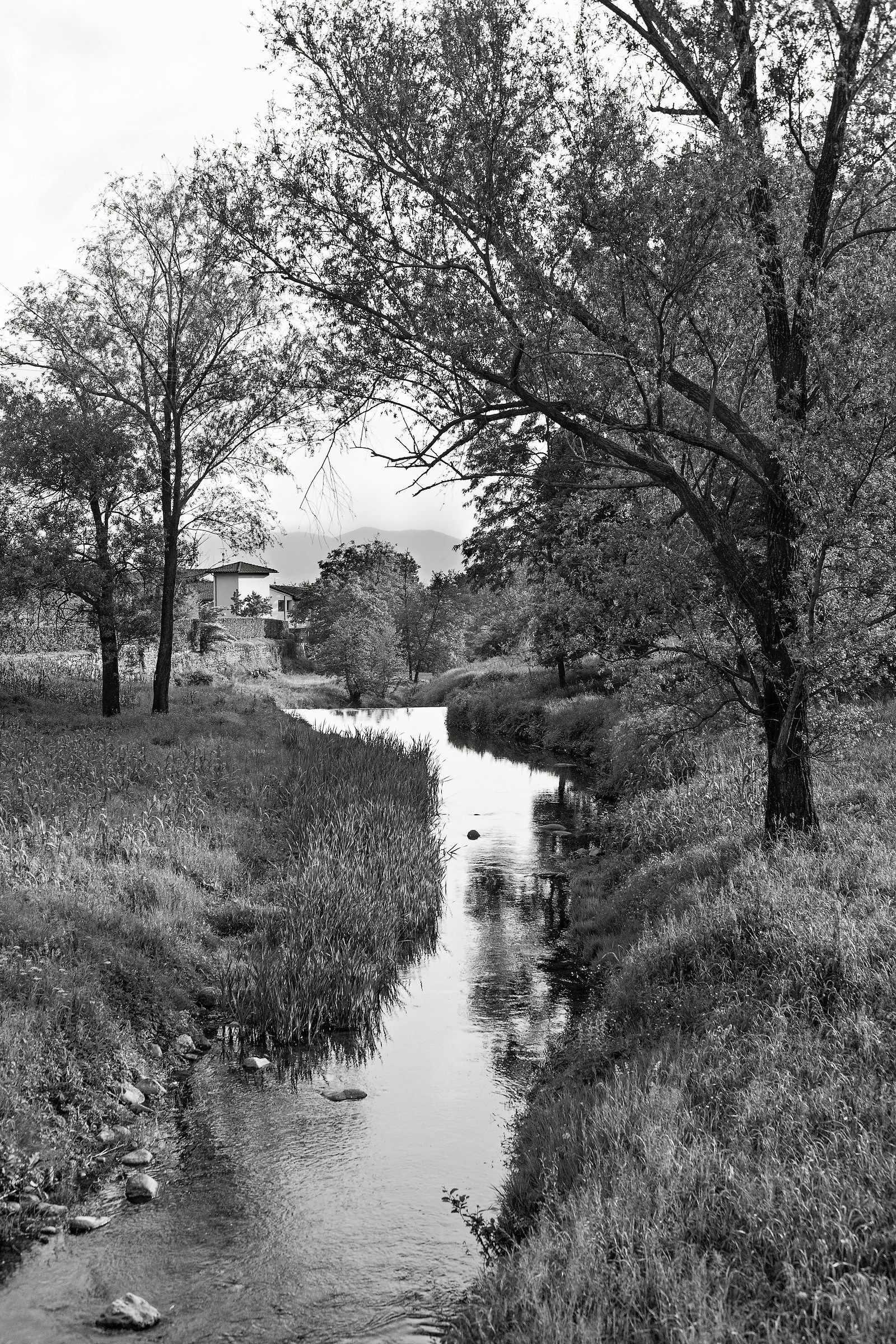 Montemurlo, Torrente Agna