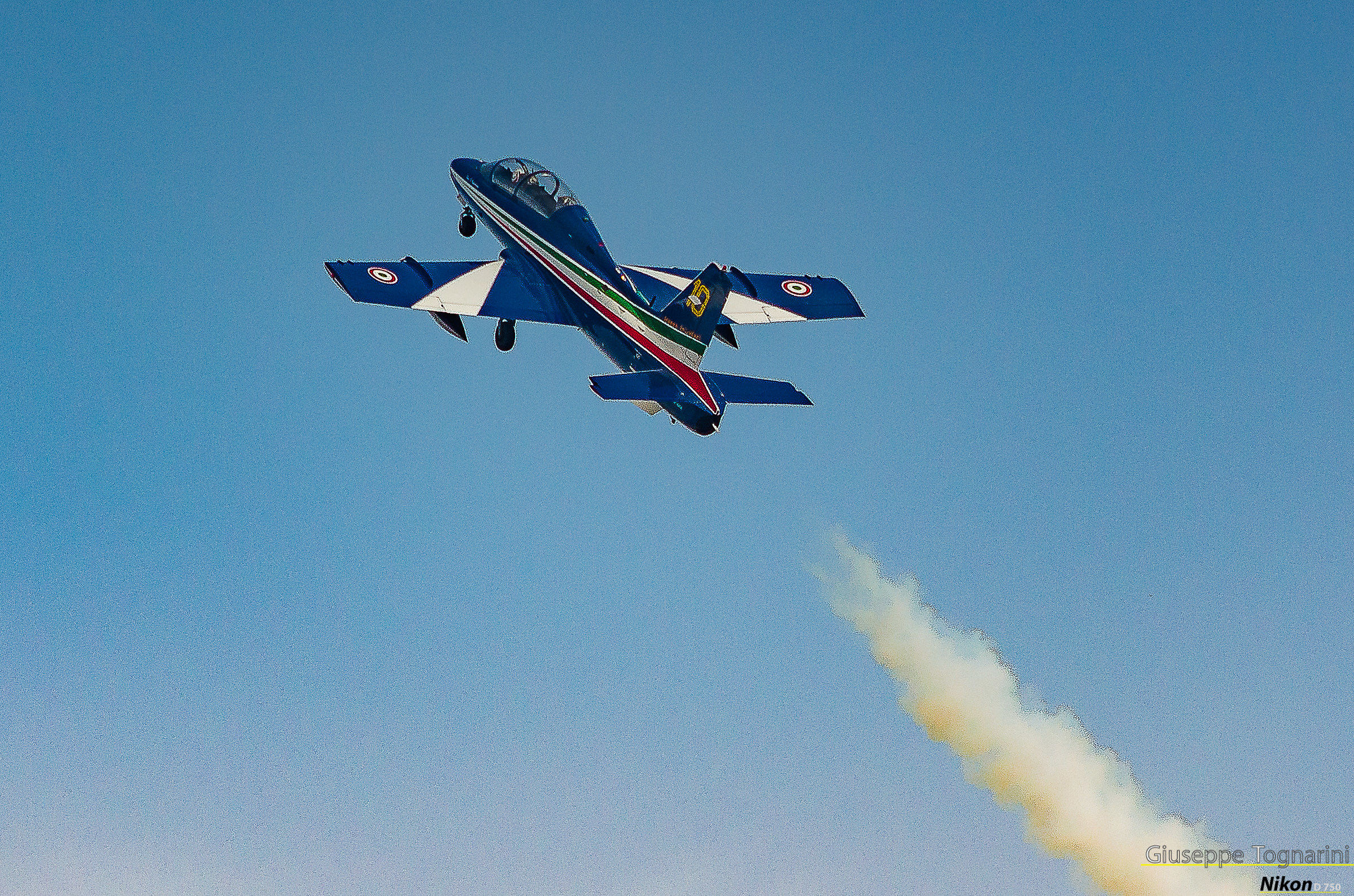 The soloist-tricolored arrows